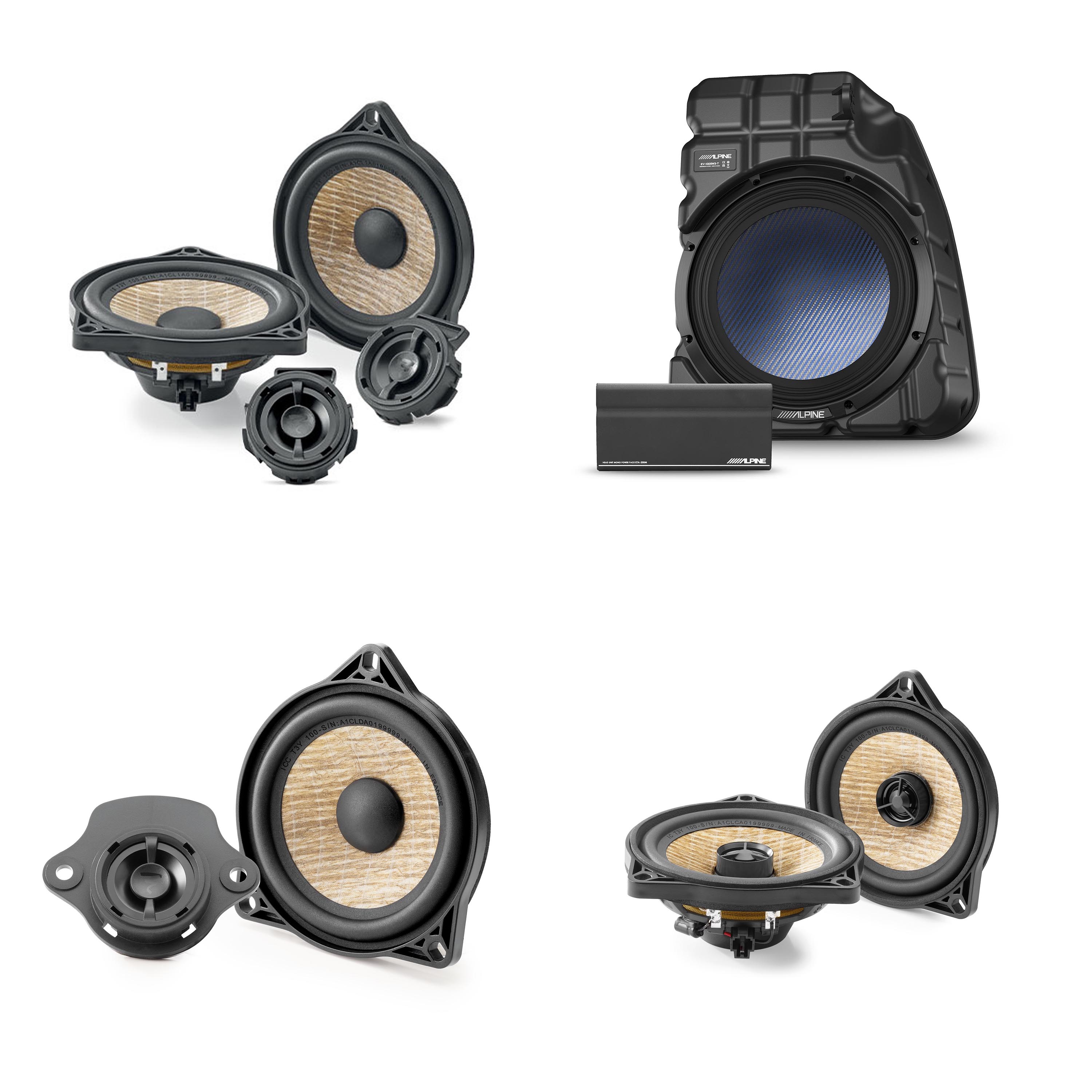 Alpine Tesla Powered 10