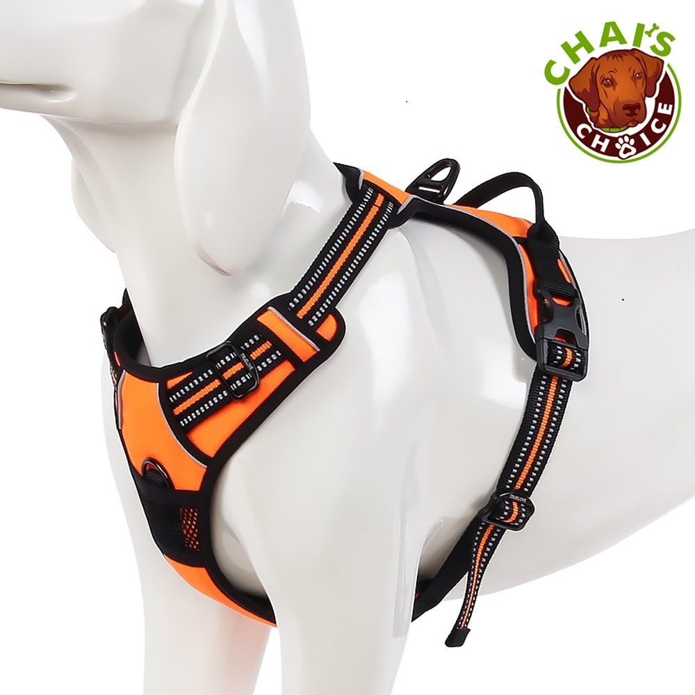 Chai's Choice Pet Products Best Front Range NoPull Dog Harness, Medium