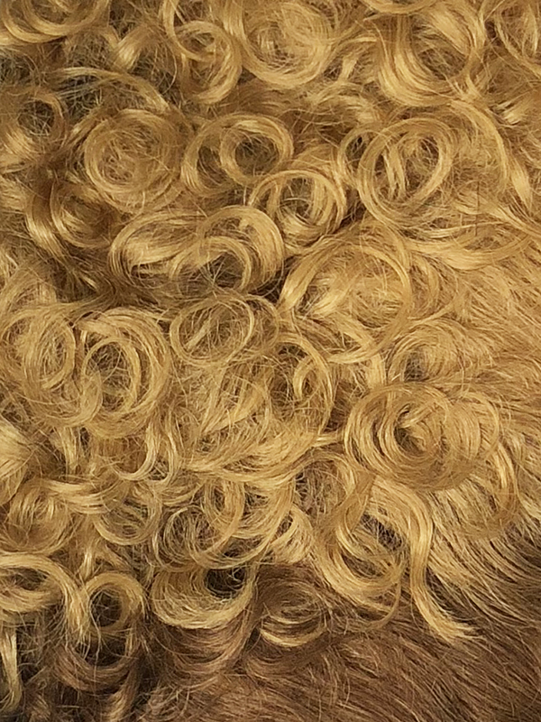 HH ILON VANESSA VIXEN COLLECTION 100 HUMAN HAIR CURLY SHORT WIG eBay