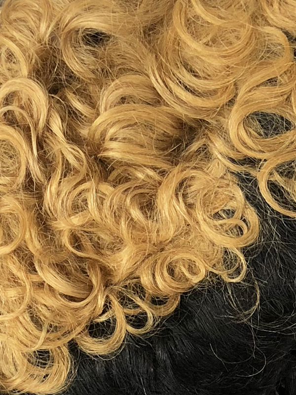 HH ILON VANESSA VIXEN COLLECTION 100 HUMAN HAIR CURLY SHORT WIG eBay