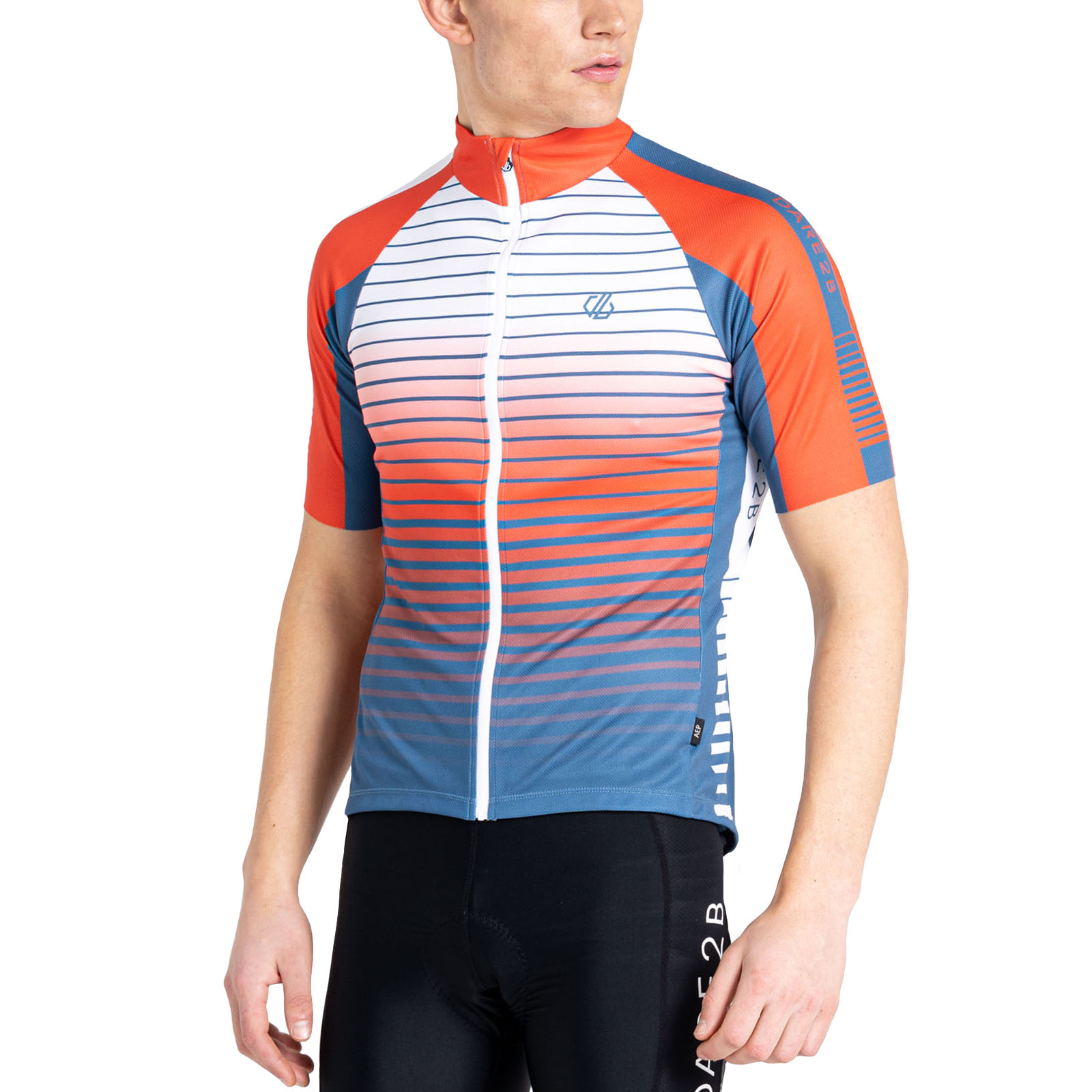 Chaqueta de ciclismo Dare 2b para hombre AEP virtuosa cremallera completa manga corta camiseta top - Imagen 4 de 5