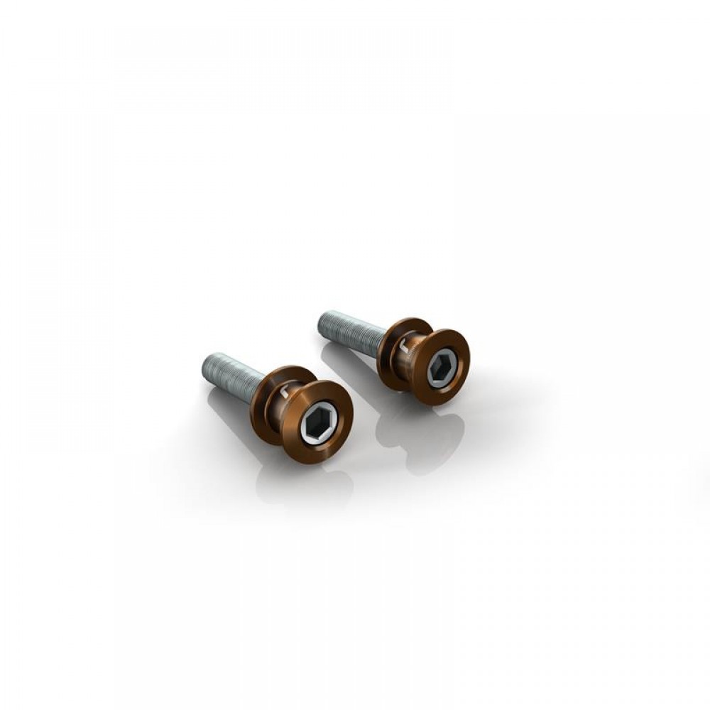 Yamaha XJR1300C Swing Arm Spools
