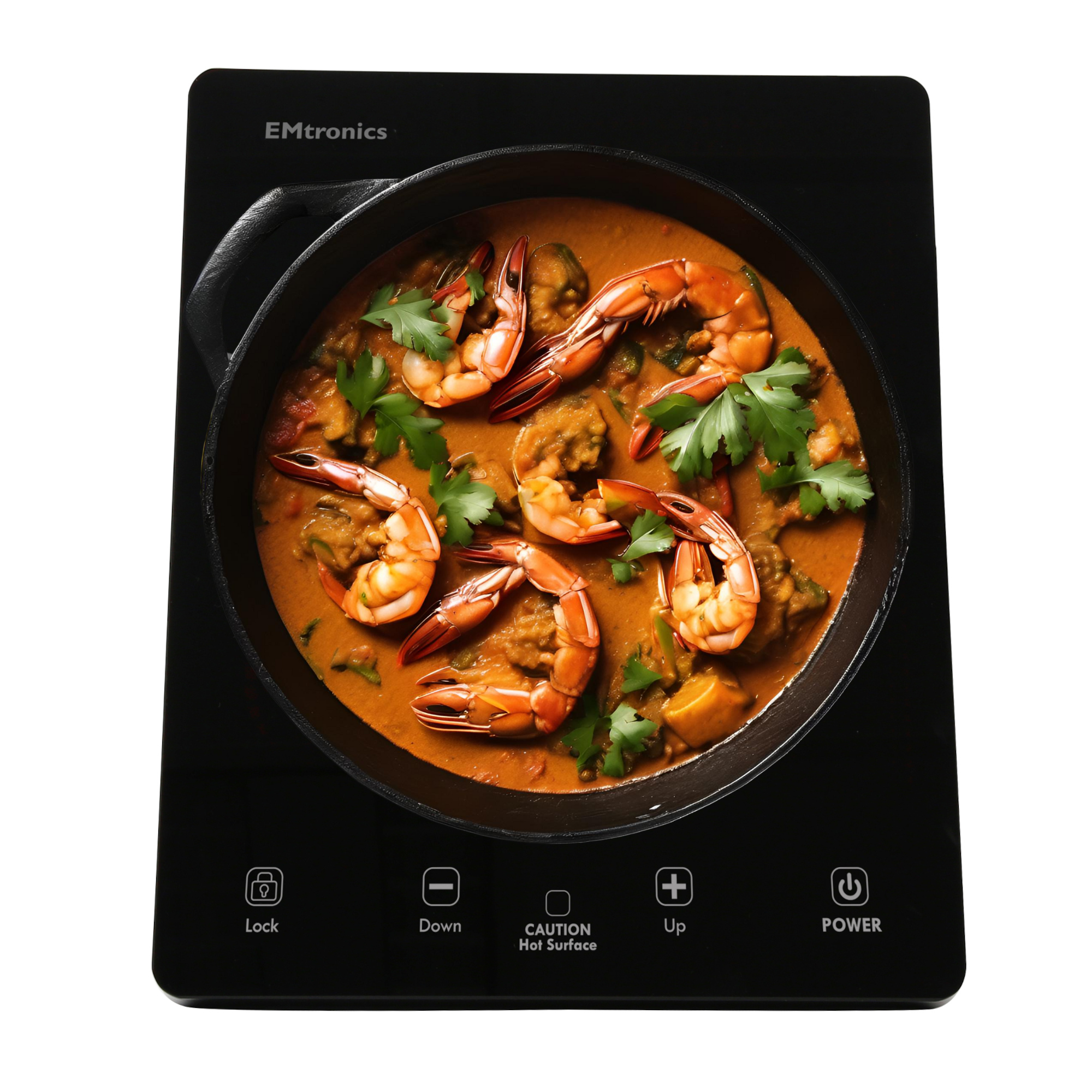 EMtronics Portable Hot Plate Induction Hob with Temperature Control - Black - Picture 7 of 11