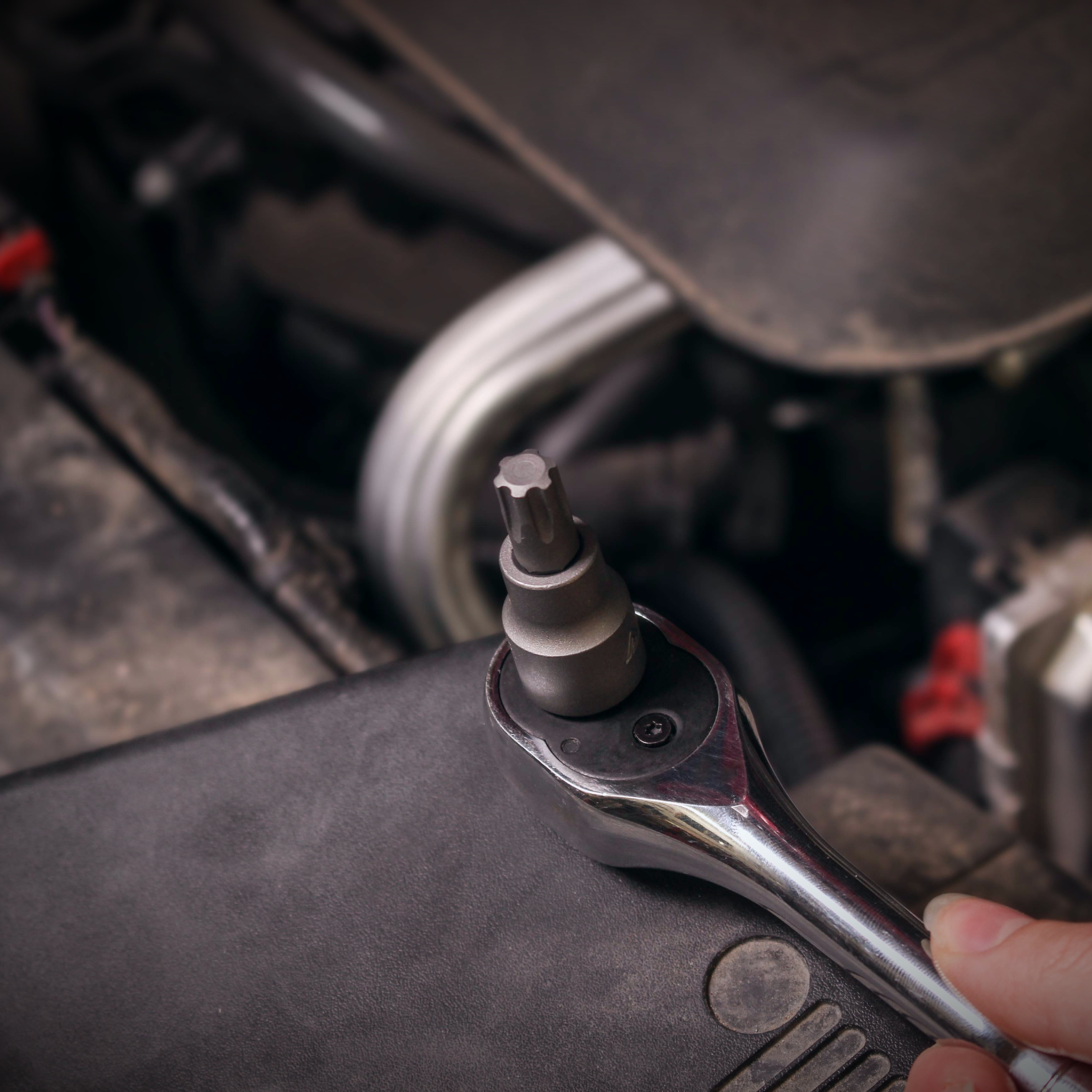 ABN | Torx Plus 50 TP50 Torx Socket with 3/8” Inch Square Drive | eBay