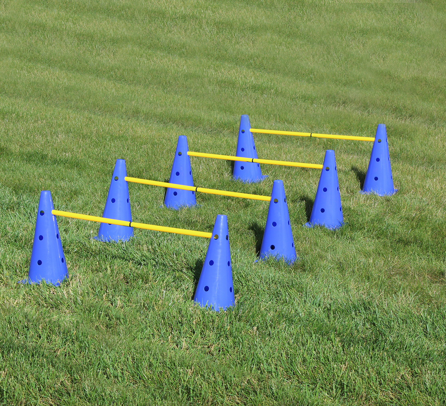Hurdle Cone Set Training Cones and Agility Poles Agility Ladder eBay