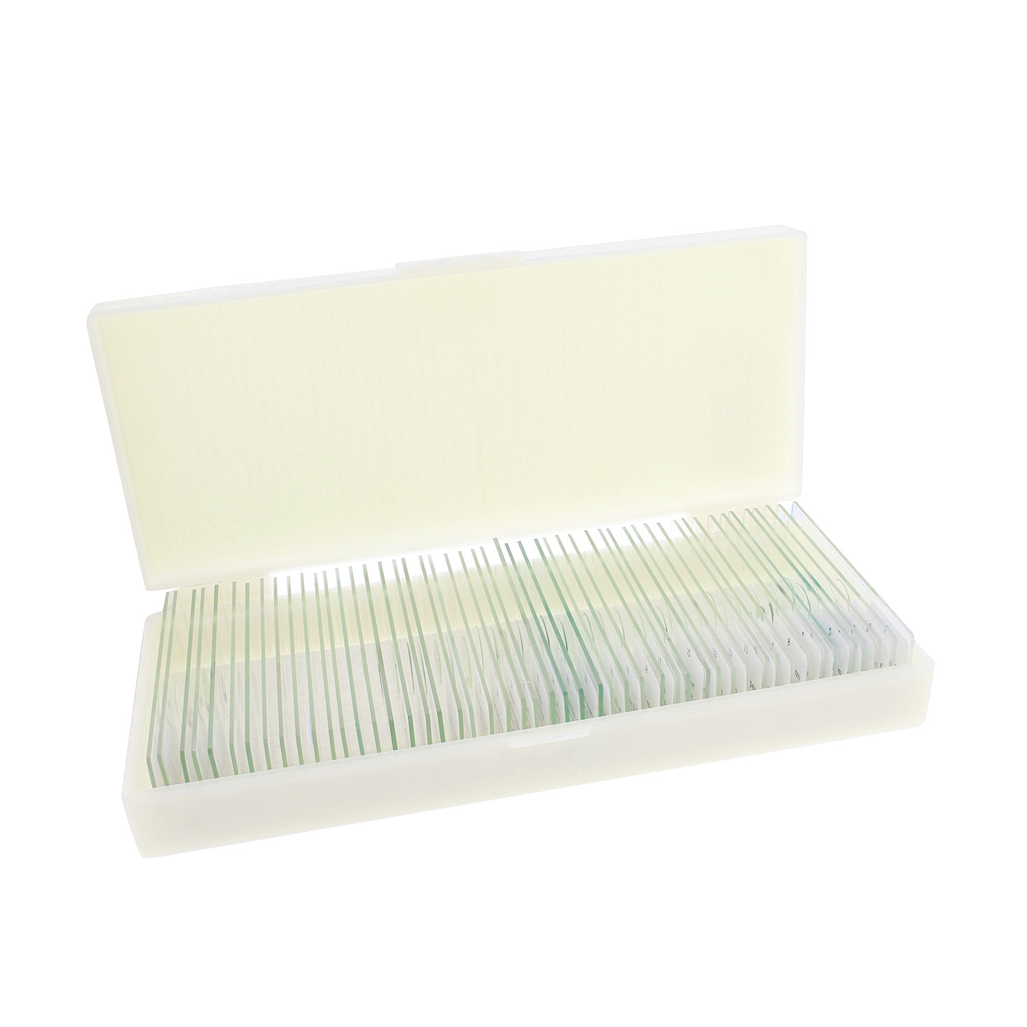 MonMed Prepared Microscope Slides 50 Pc Microscope Sample Kit with