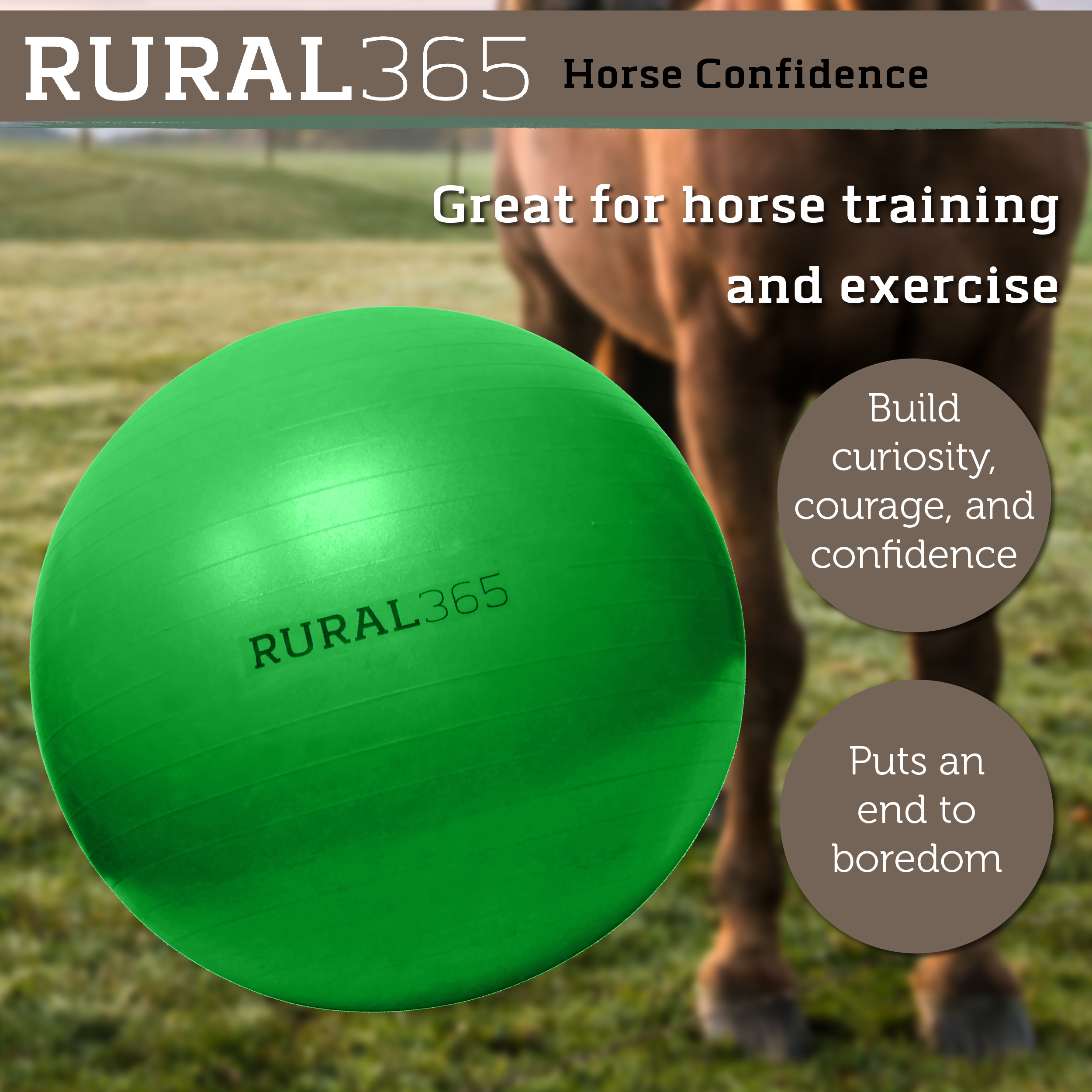 Rural365 Large Horse Ball Toy AntiBurst Giant Horse Ball with Hand