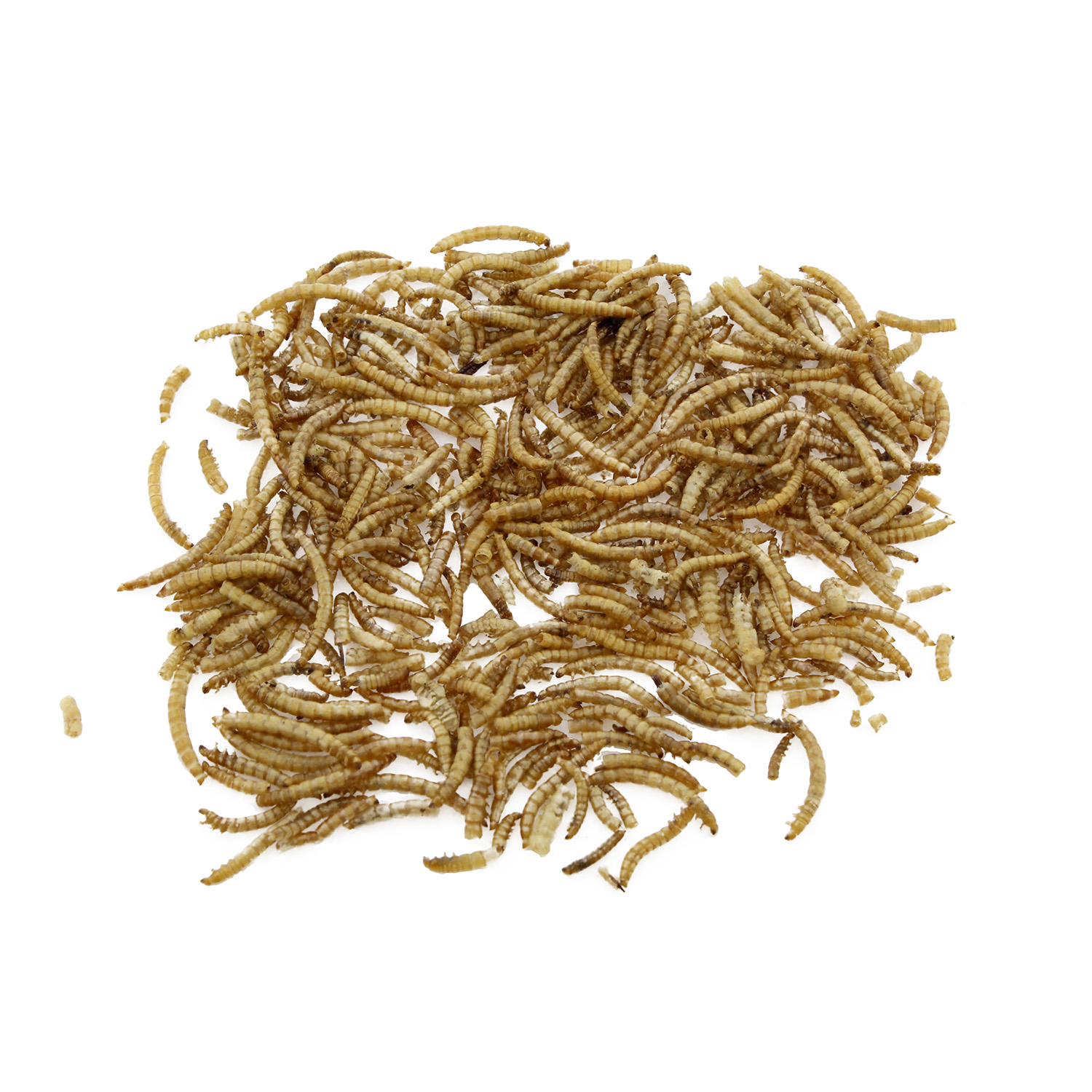 5 Pounds Protein-Filled Chicken Feed Rural365 Dried Black Soldier Fly Larvae