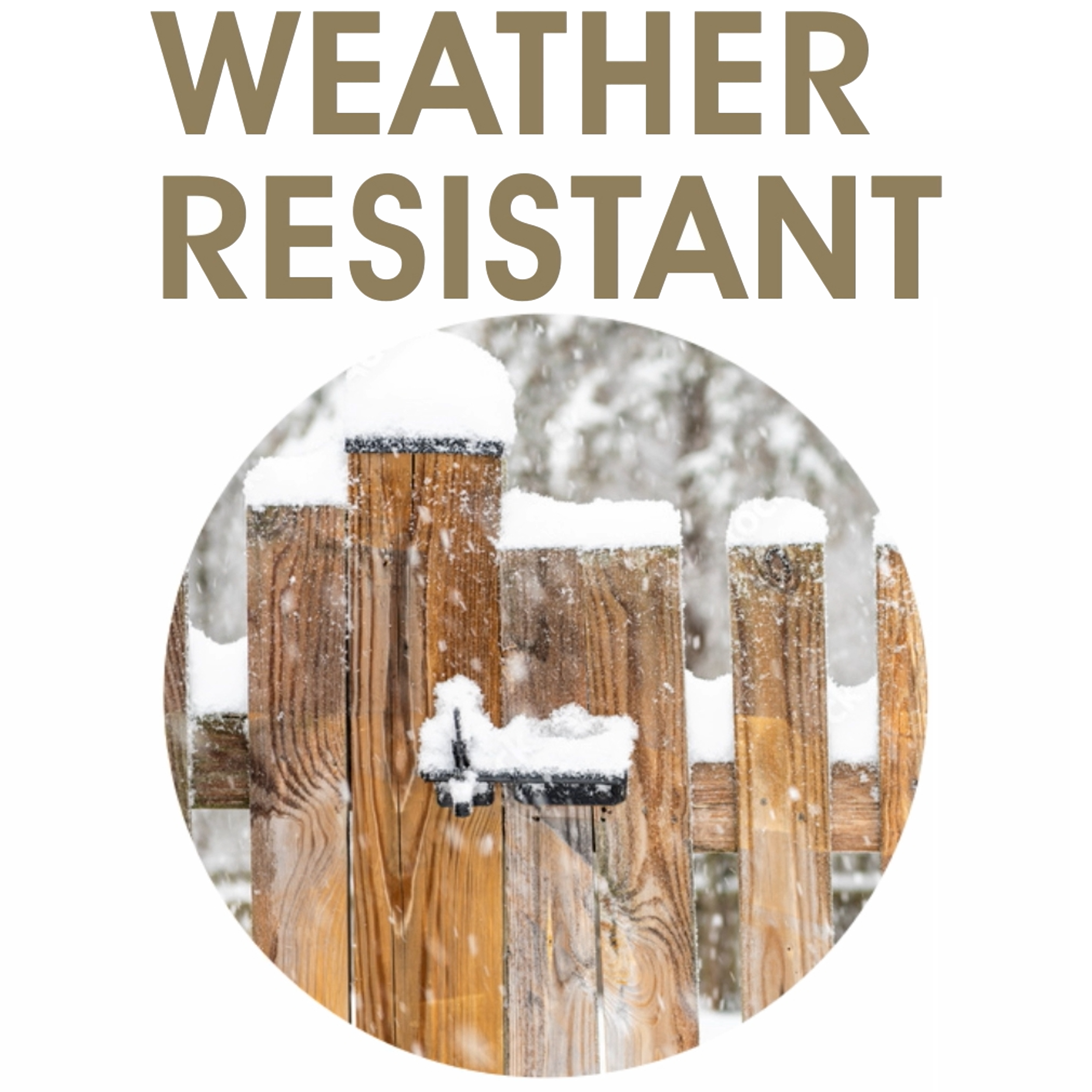 Rural365 Heavy Duty Self Locking Latch For Inward and Outward