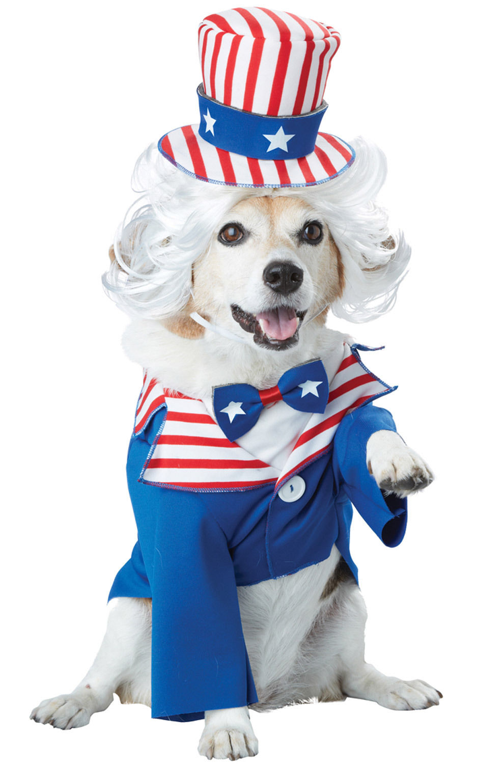 dog 4th of july outfits