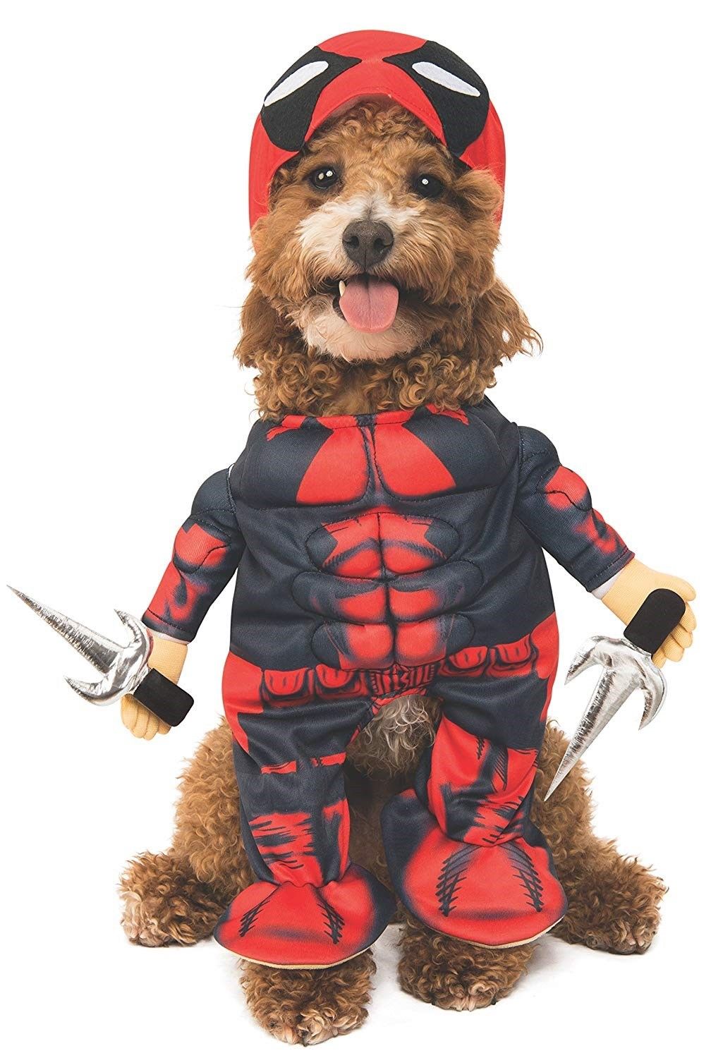deadpool dog shirt