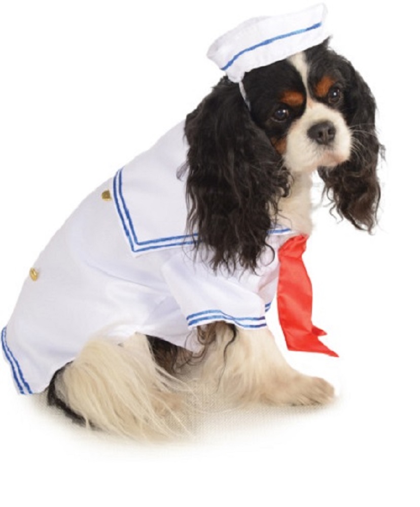 sailor boy navy admiral pet dog clothing accessory halloween costume sized new