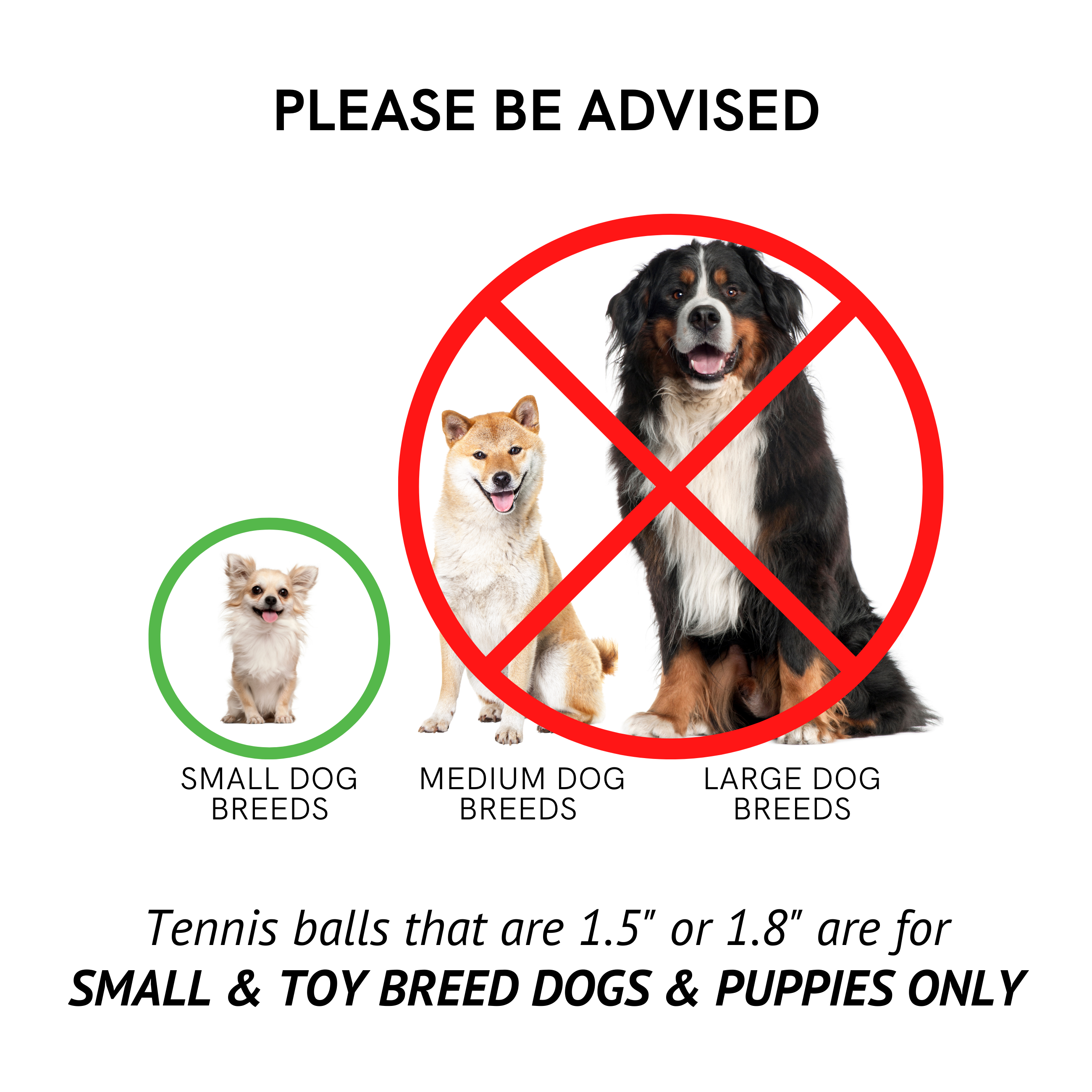 Bolas de tenis Midlee rosa feliz cumpleaños para perro - Imagen 9 de 19