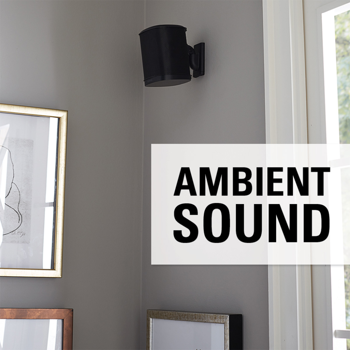 Sanus Wireless Speaker Swivel &amp; Tilt Wall Mount for Sonos