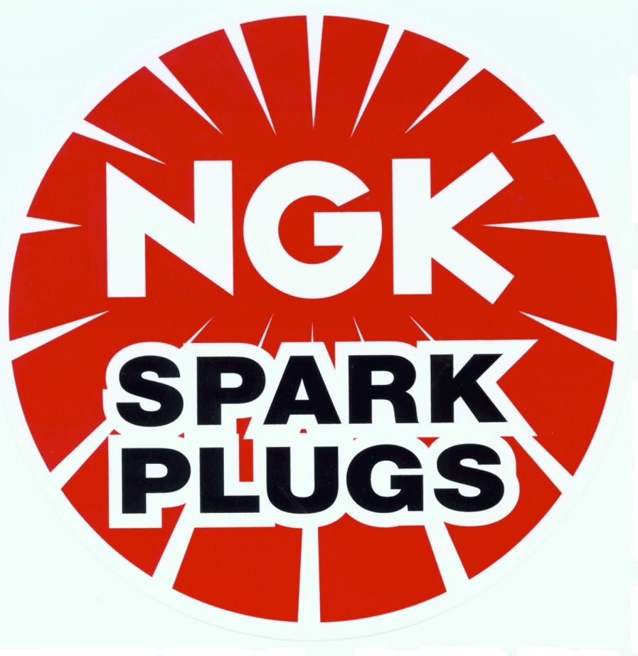 NGK OEM 6753 replacement bpm6f blyb spark plug