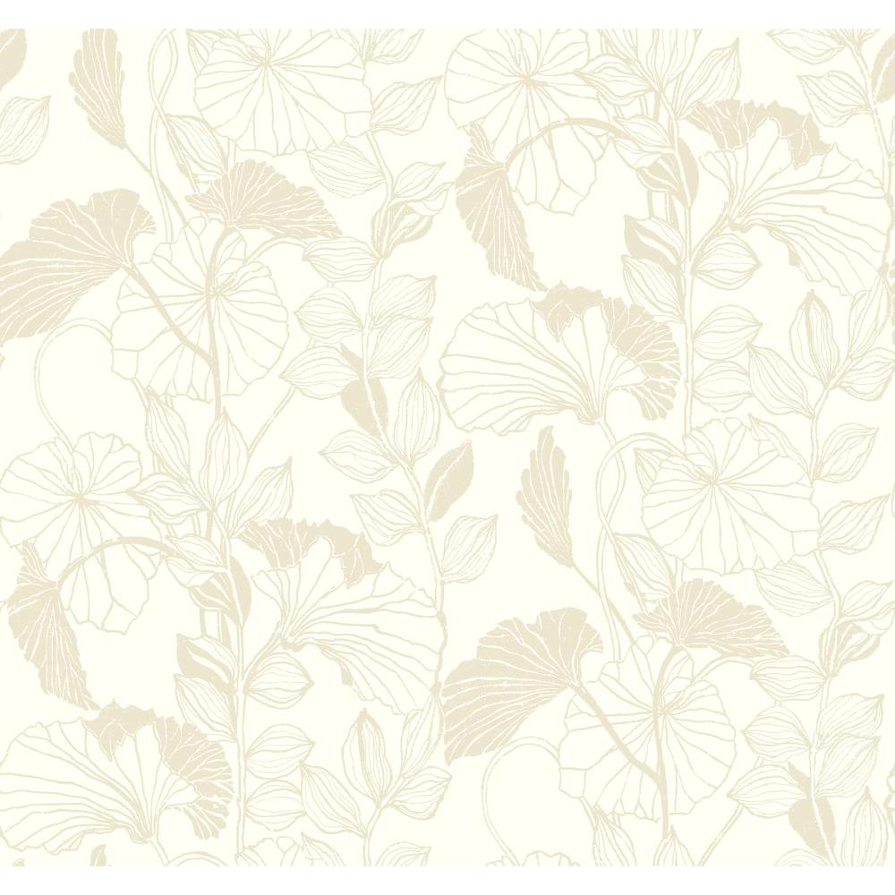 York Wallcoverings AB1877 Black & White Leaf Outline Wallpaper, White