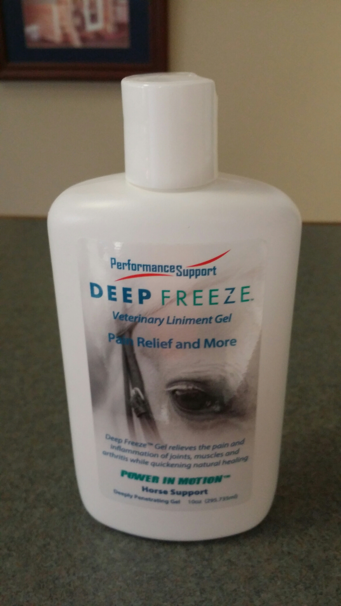 DEEP FREEZE Thera Pain Relief Gel 10 oz Horse Equine Cooling