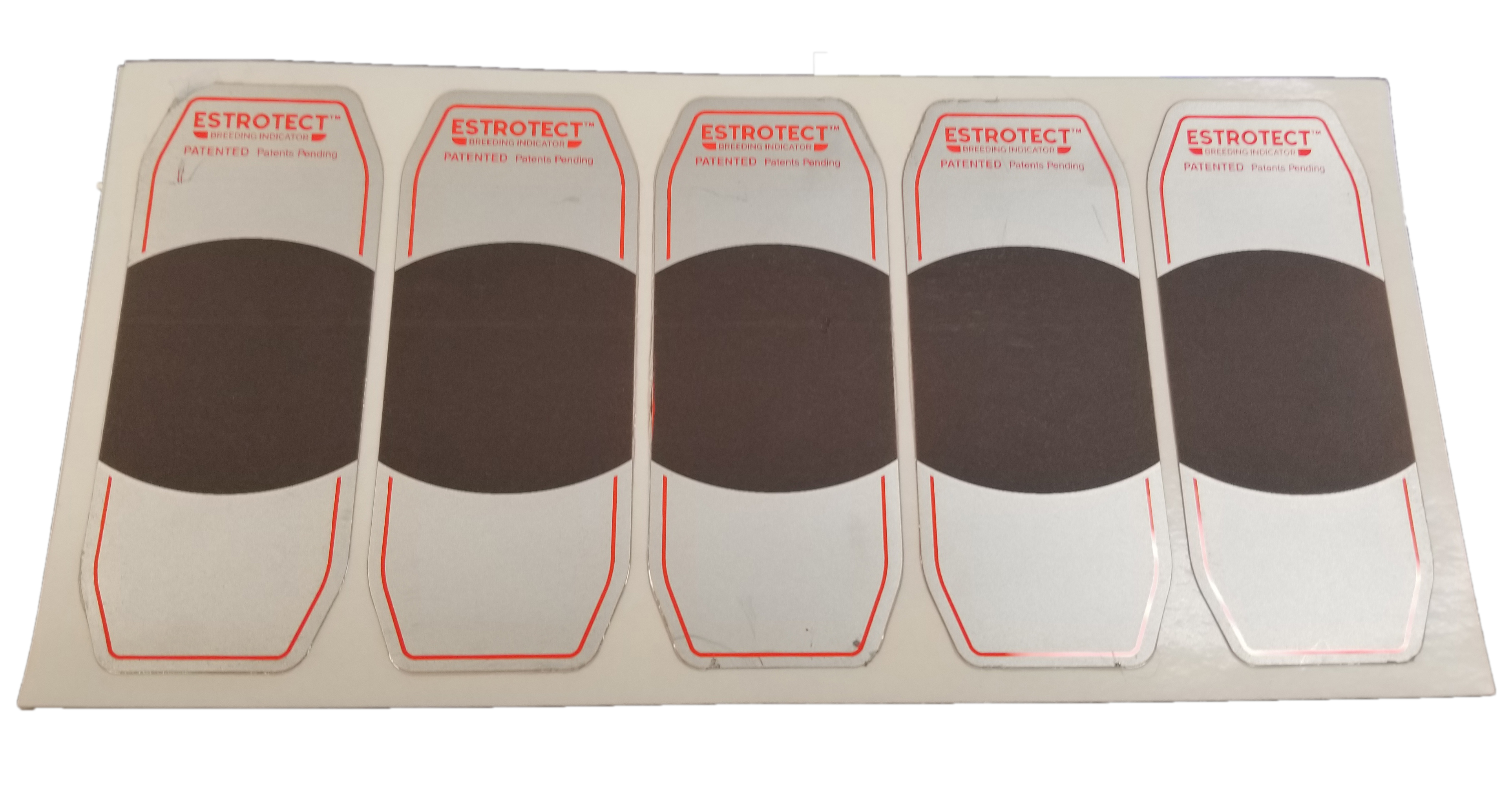 Estrotect Heat Estrus Detector Patches EstroAlert 5 ct Green AI Breeding Cattle