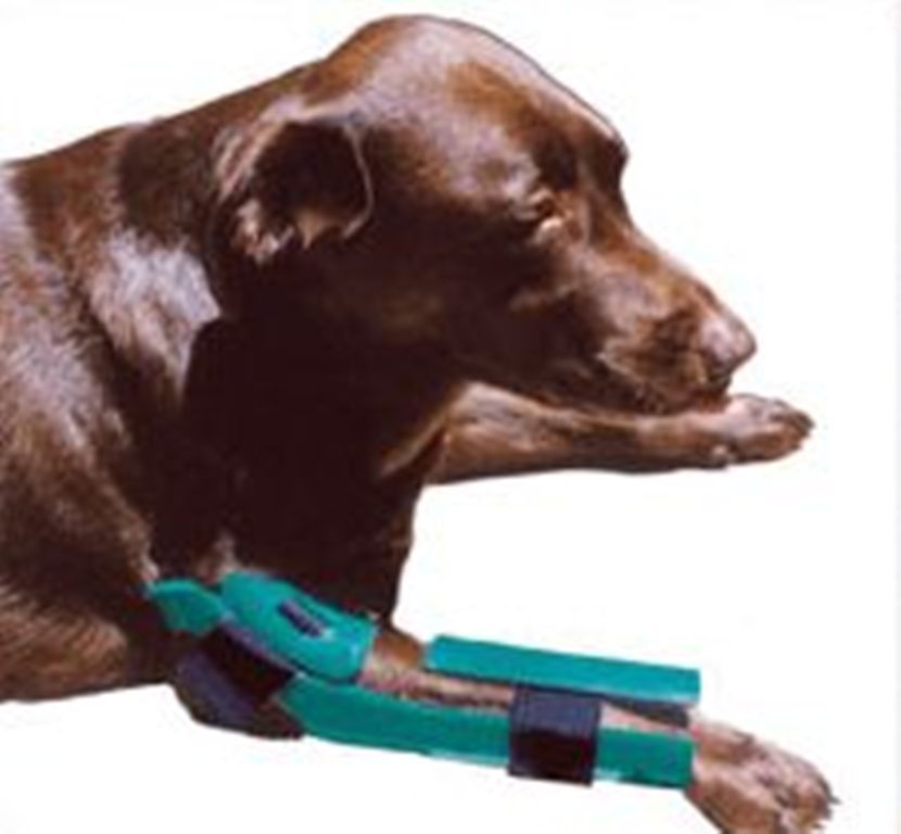 IV Stabilizer Plus Veterinarian Supply Pet Medium 11" Stabilizes