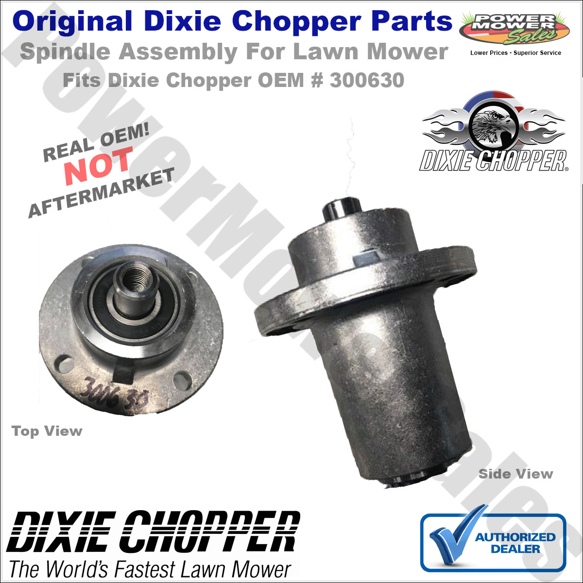 Dixie Chopper Spindle Assembly for Lawn Mowers fits Zee 1 and Zee