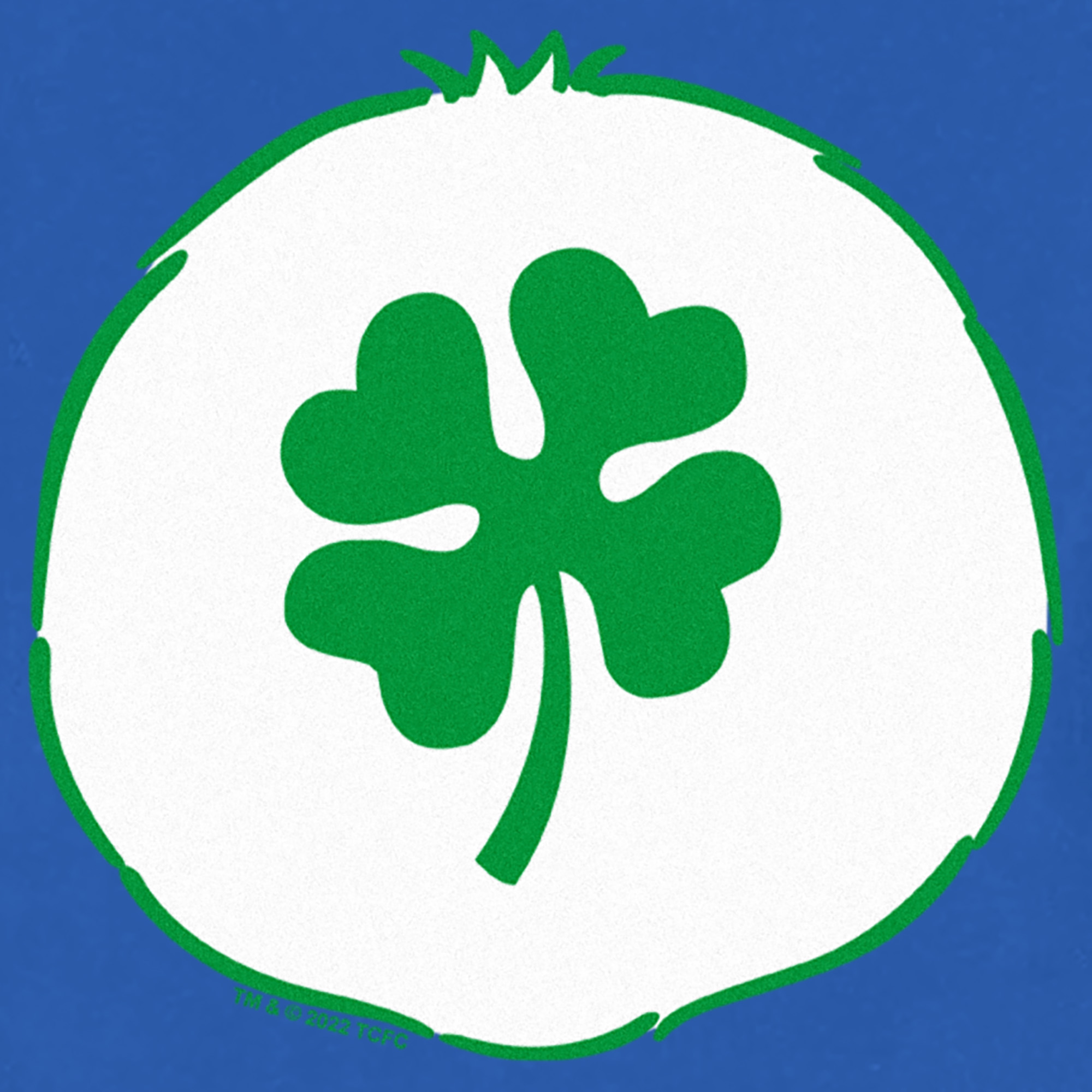 Toddler's Care Bears St. Patrick's Day Good Luck Bear Clover Costume T-Shirt - Picture 16 of 18