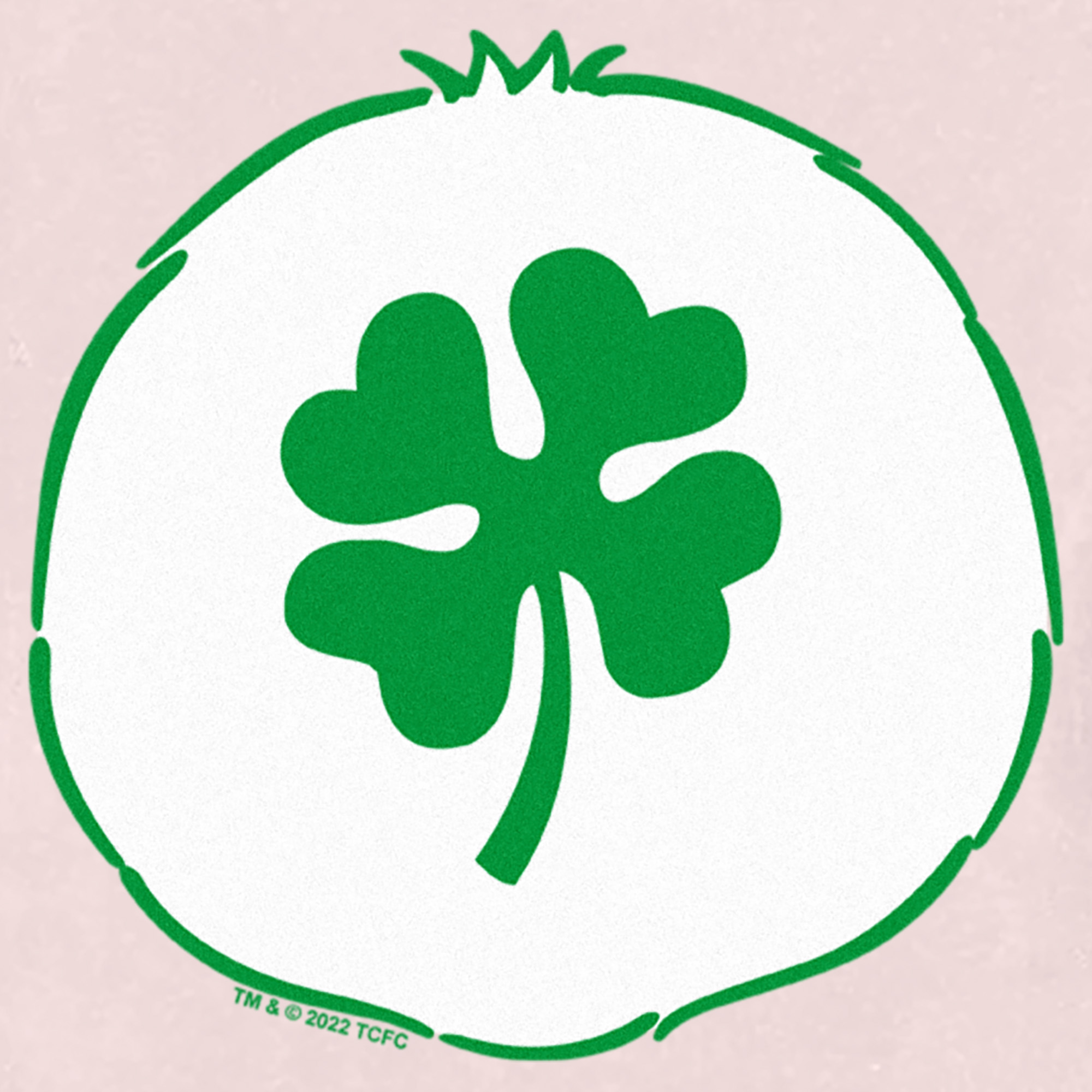 Toddler's Care Bears St. Patrick's Day Good Luck Bear Clover Costume T-Shirt - Picture 10 of 18