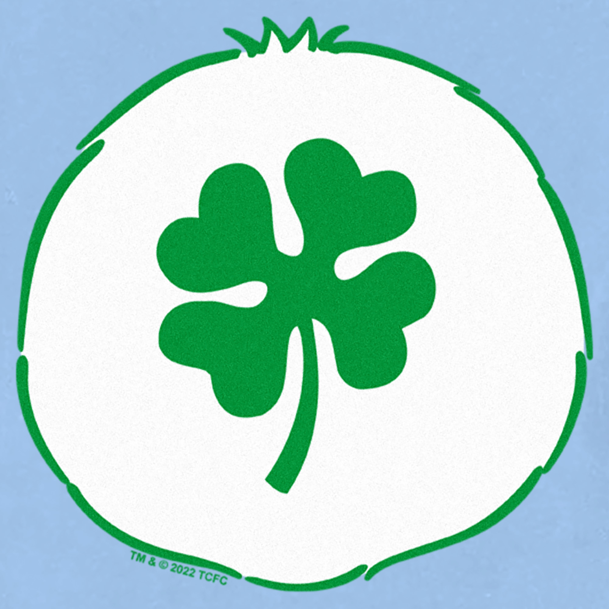 Toddler's Care Bears St. Patrick's Day Good Luck Bear Clover Costume T-Shirt - Picture 7 of 18