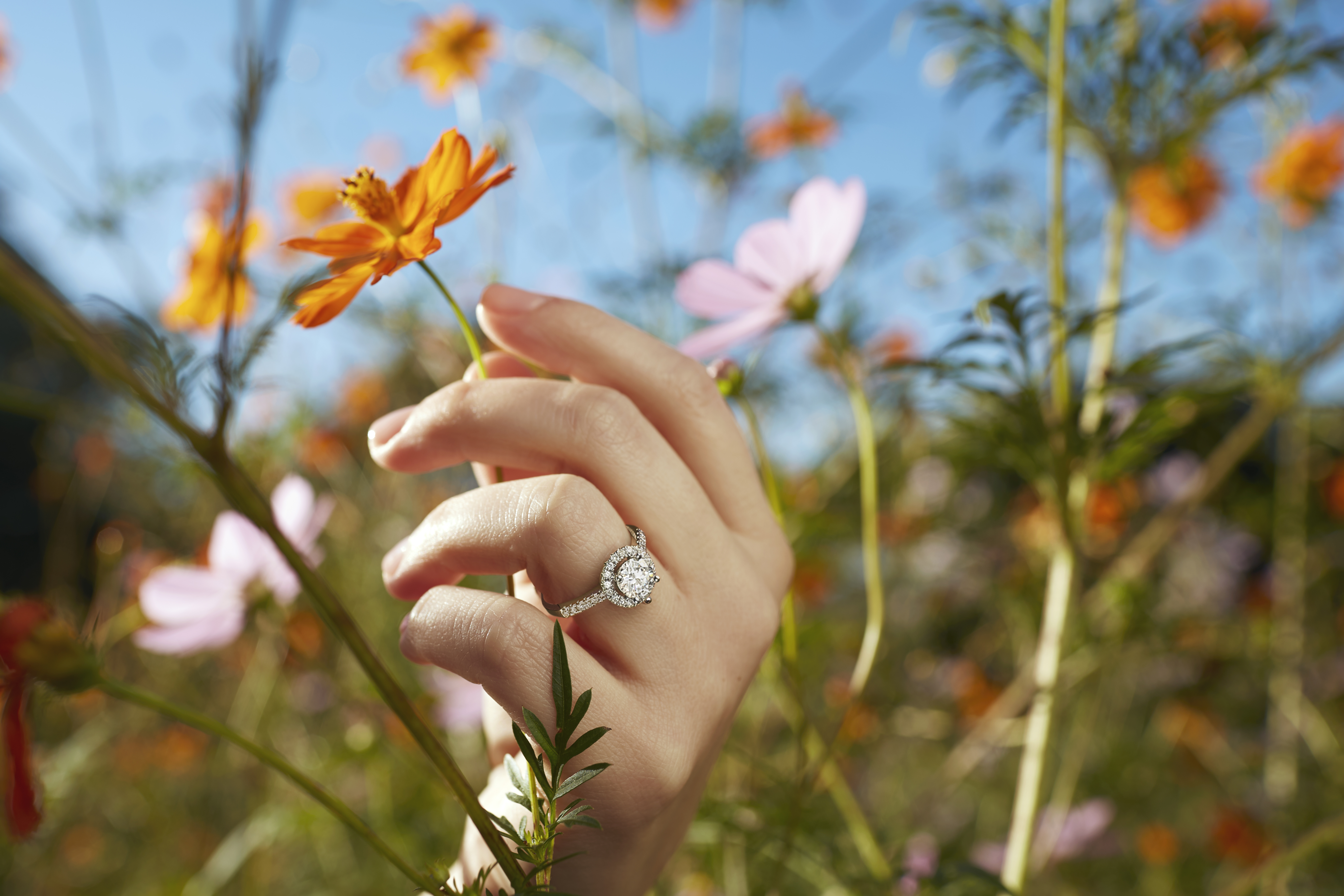 1.3 CTW DEW Round Lab-Created Moissanite Halo Engagement Ring in 14K White Gold - Picture 12 of 84