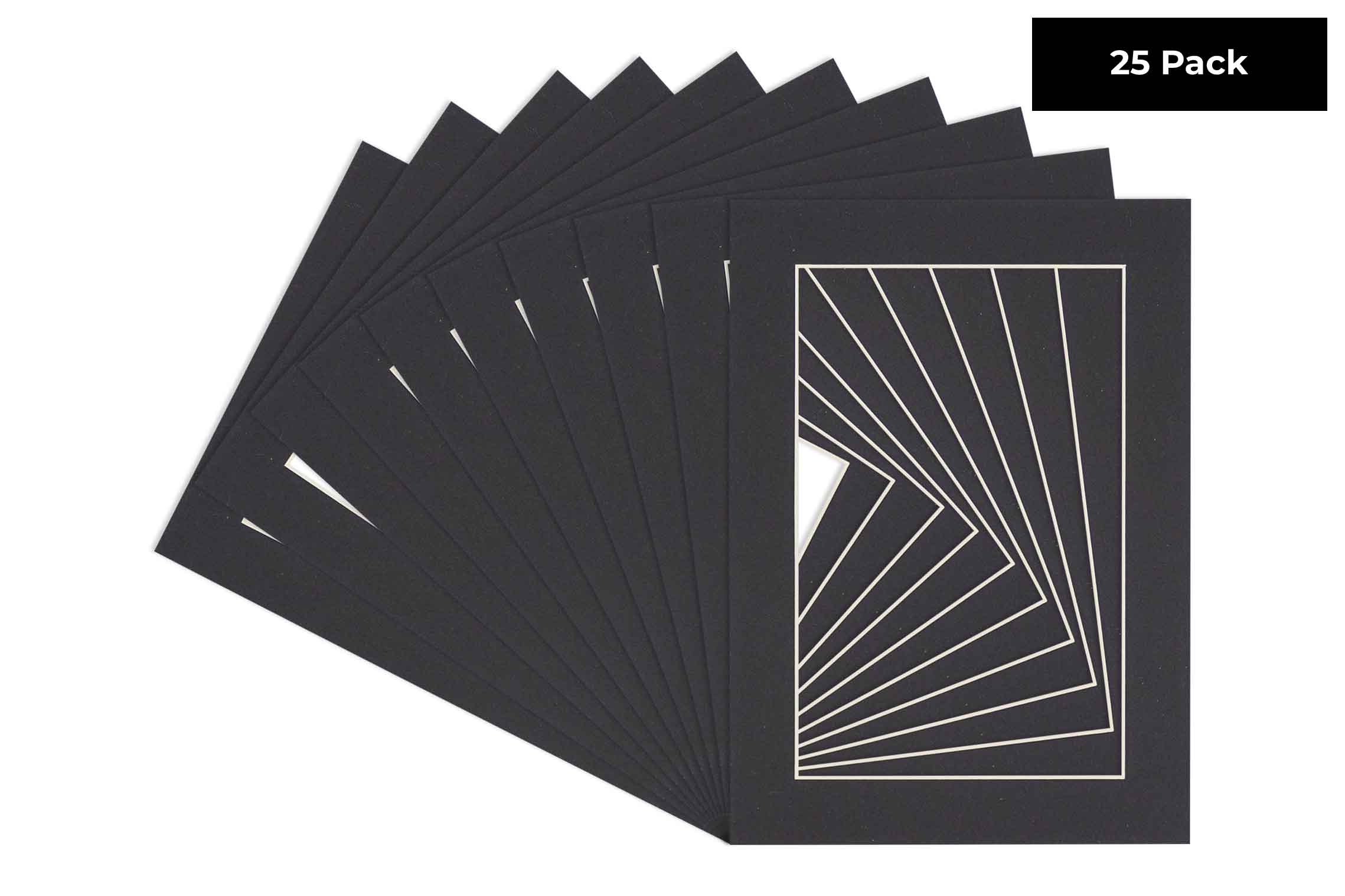 ACID FREE PHOTO Mats Bevel Cut to Display 8x10 Photos in 16x20 Picture