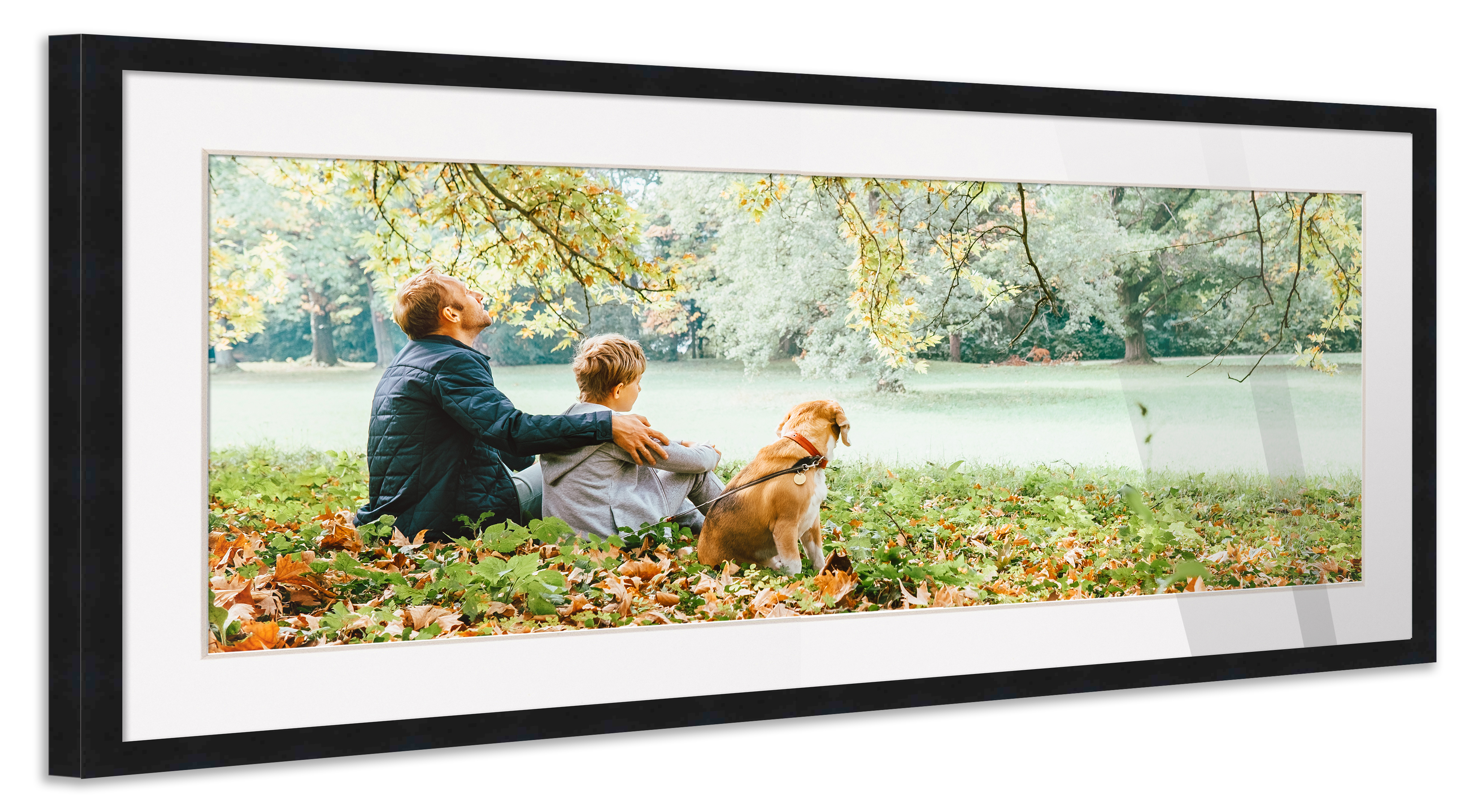 12x36 Frame Black for 12x36 Picture or 16x40 Art Poster Without