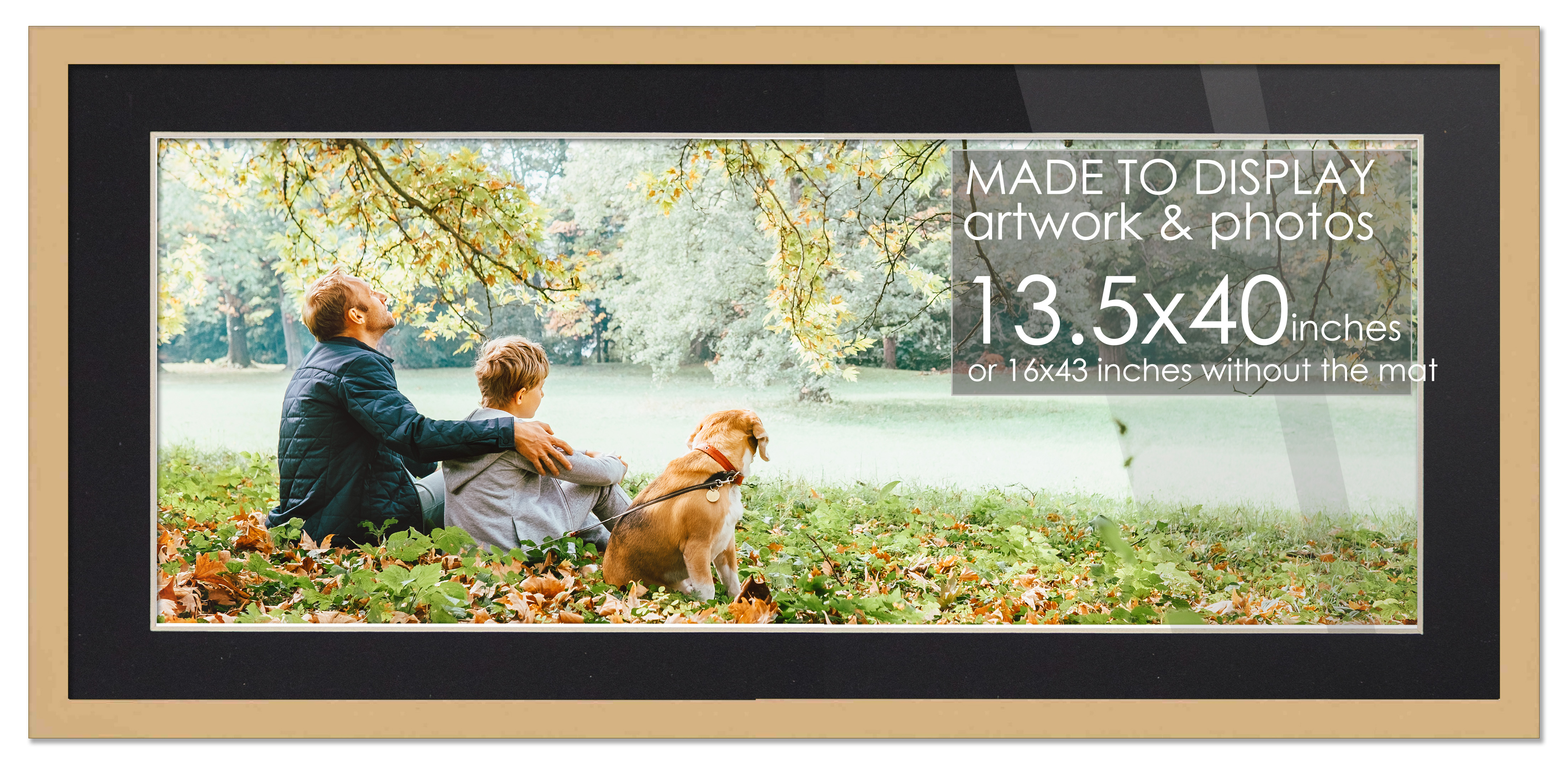 13.5x40 Natural Frame for 13.5x40 Picture or 16x43 Poster Without Black Mat main product image