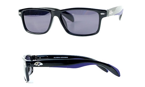 Baltimore Ravens NFL Polarized Retro Sunglasses Full Frame | eBay