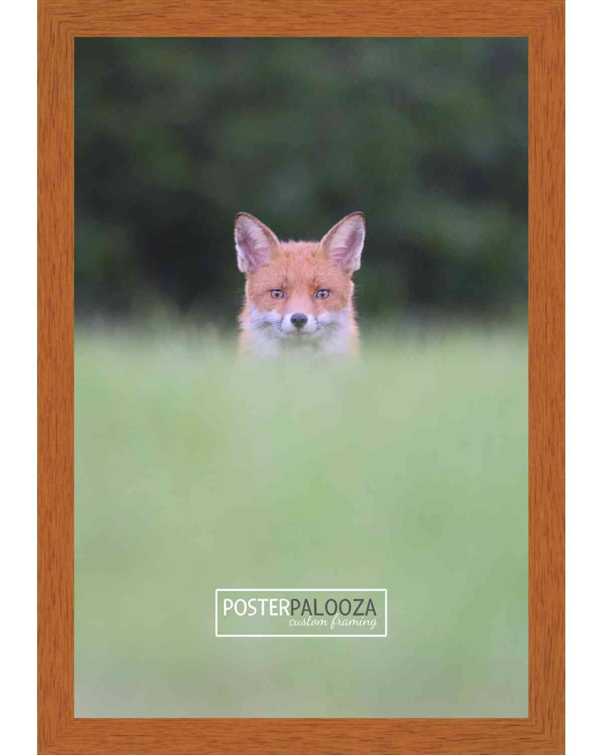 Modernist Brown Picture Frame – UV Acrylic,Backing, Hanging Hardware