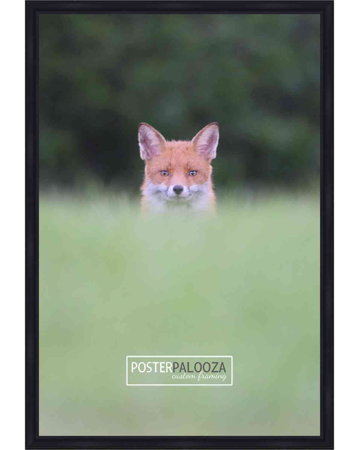 Classic Modern Black Frame - UV Acrylic, Backing Board, Hardware Included - Picture 124 of 216