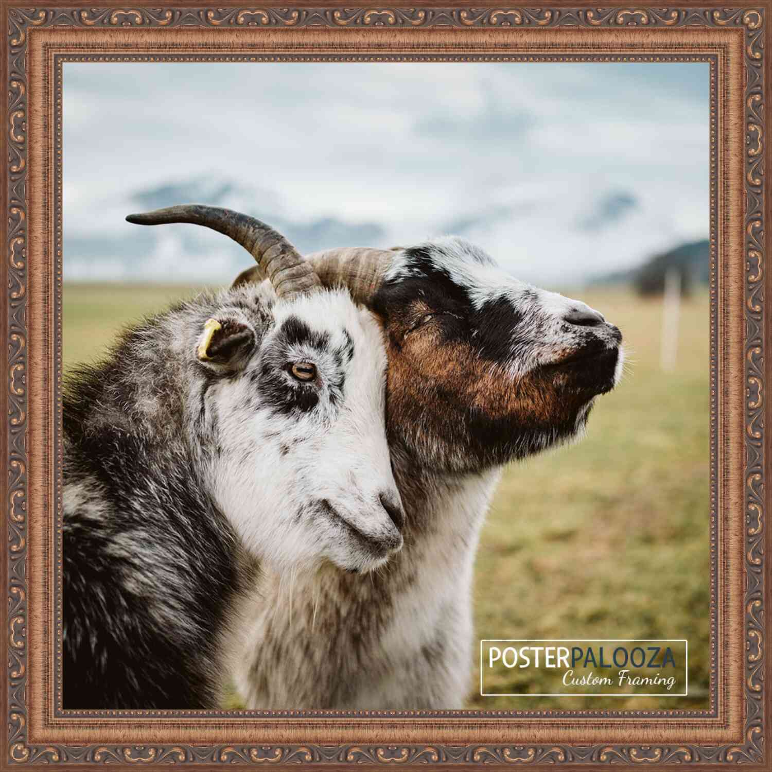 16x16 Museum-Quality Picture Frame, UV Acrylic, Backing, Available in 4 Finishes - Picture 20 of 36