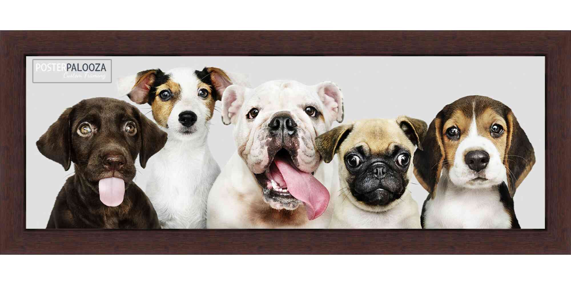 Panoramic Classic Modern Brown Frame – UV Acrylic, Backing, Hanging Hardware