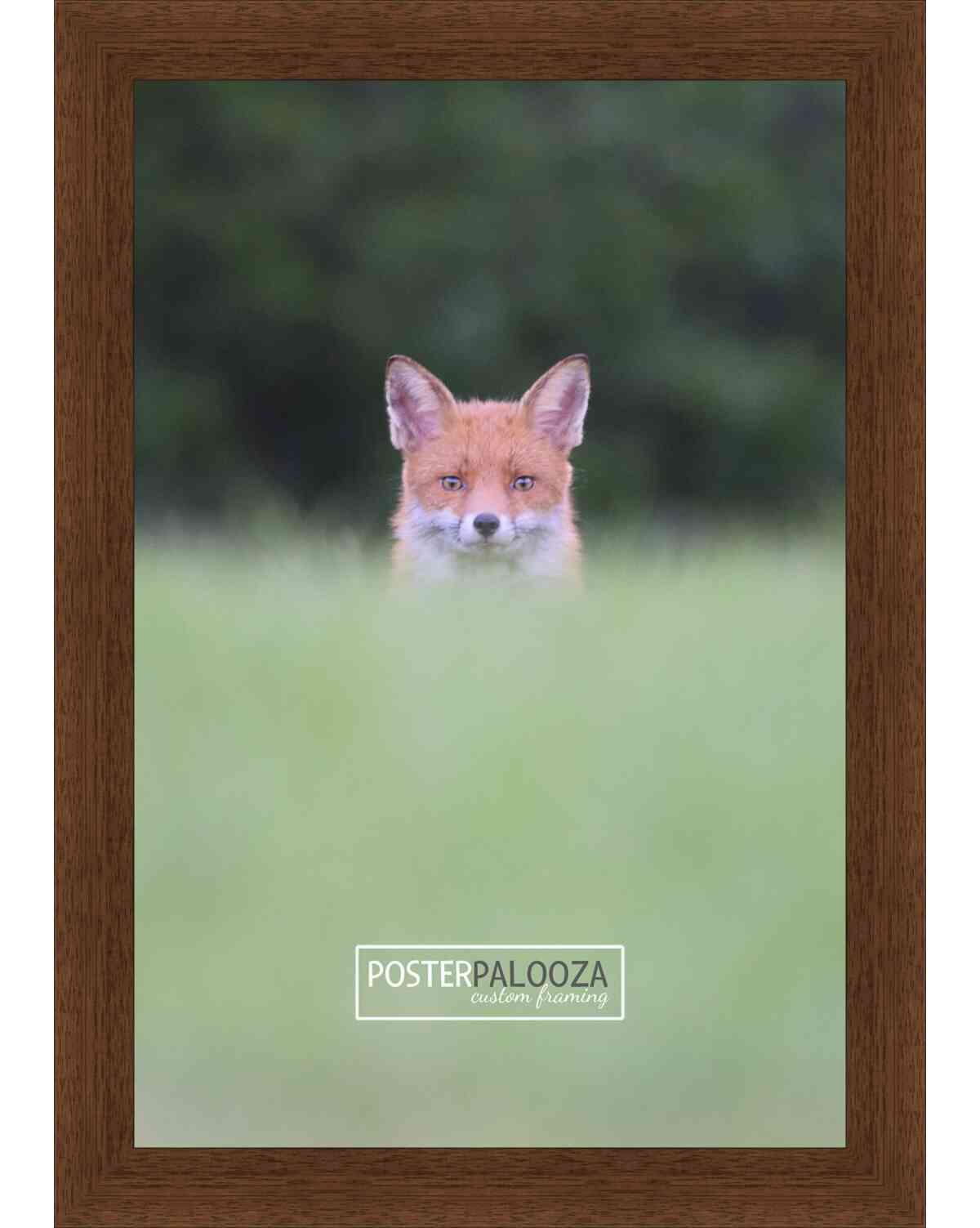 Simple Brown Picture Frame - UV Acrylic,Backing, Hanging Hardware - Picture 11 of 345