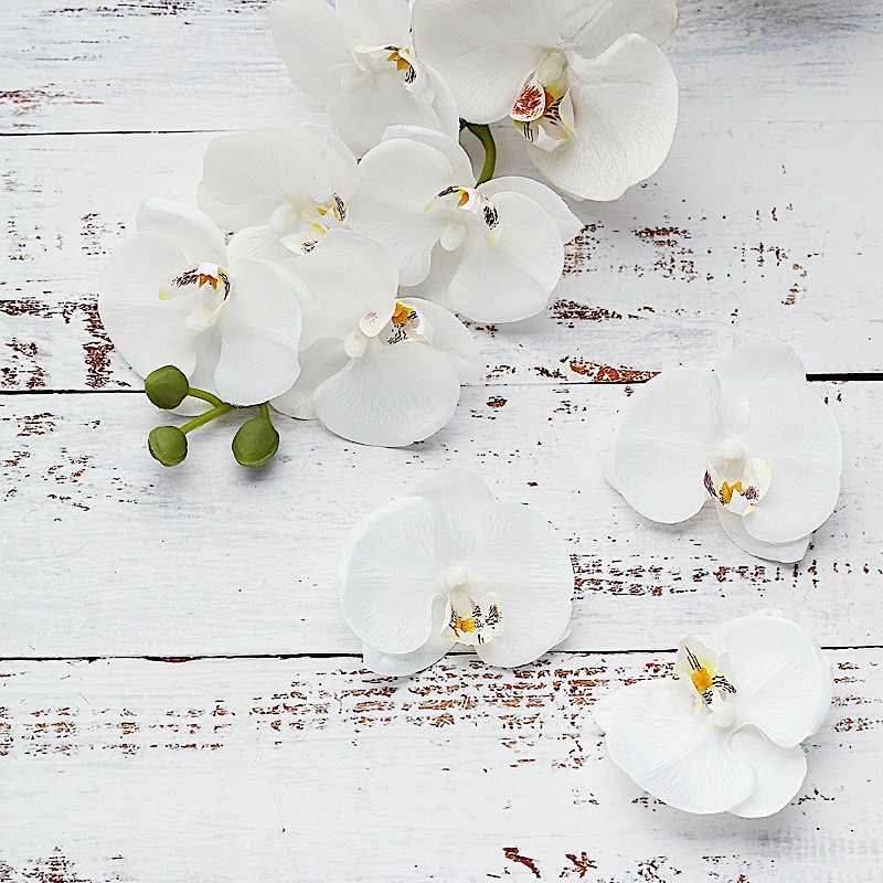 20 pcs 4" Faux Silk Orchid Flower Heads Wedding Party Events Home Decorations - Picture 37 of 50