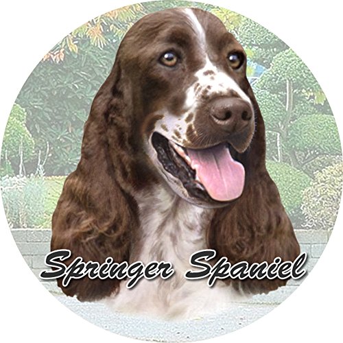 Responsive image
