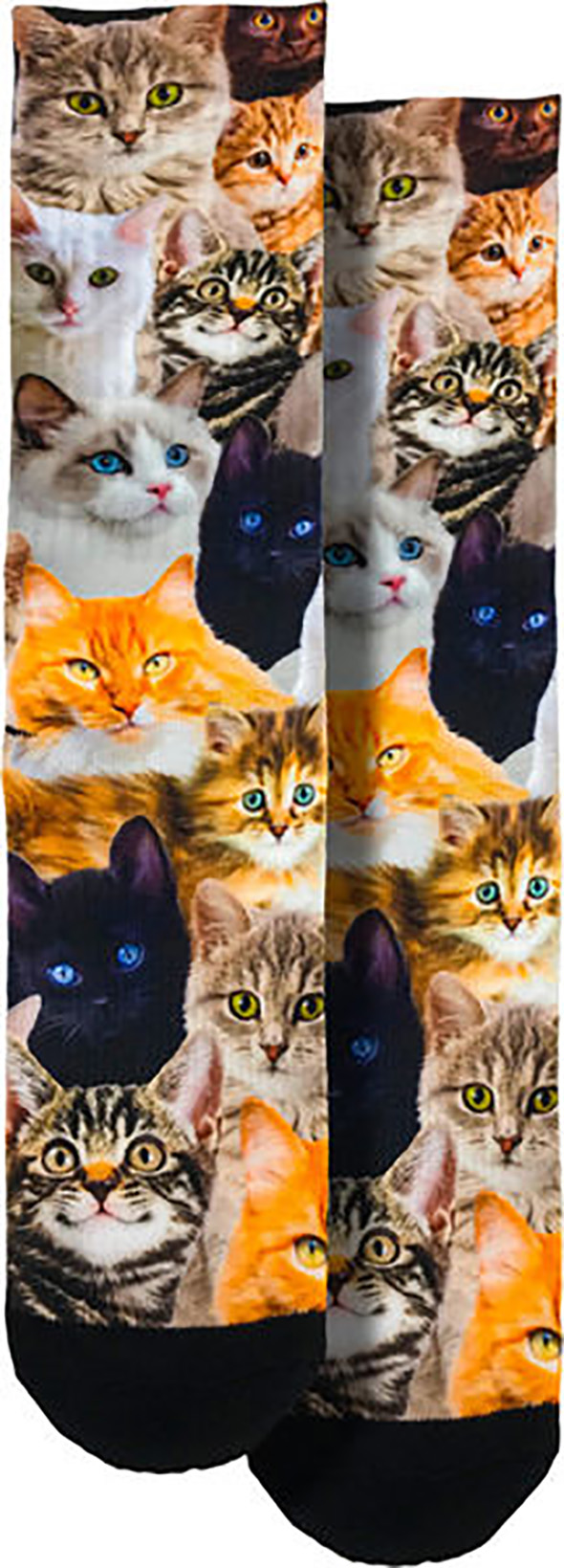 Responsive image
