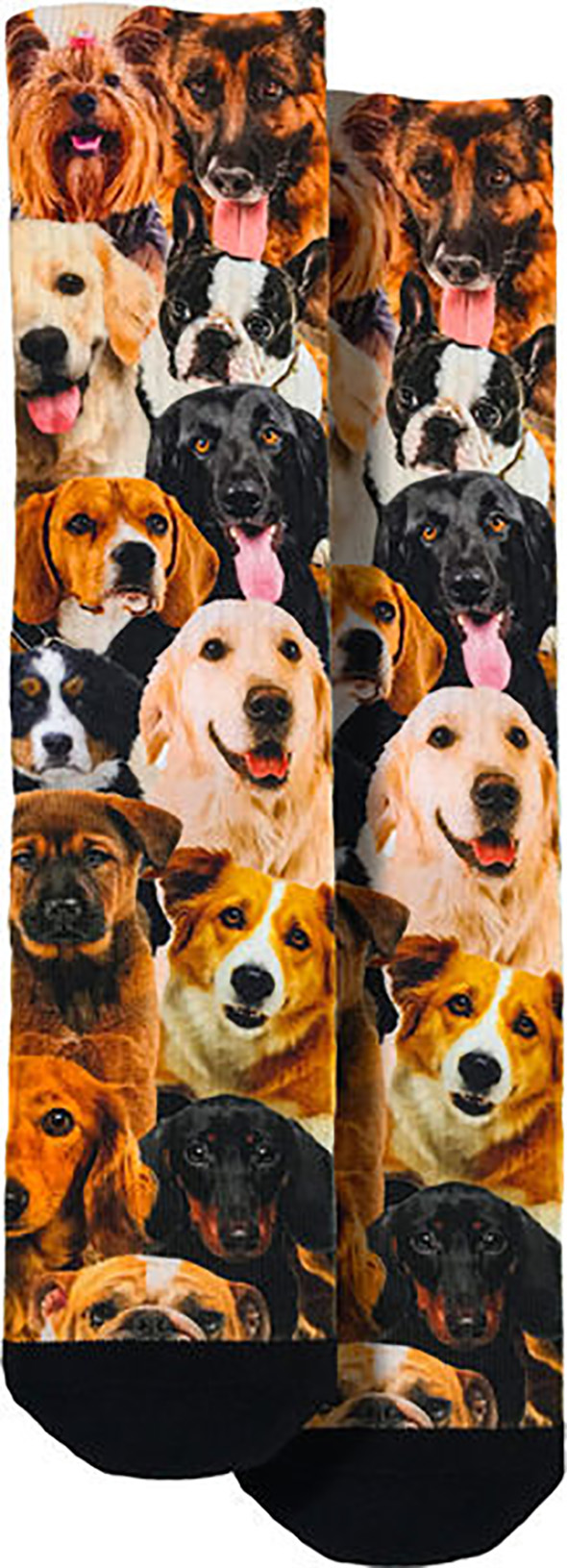 Responsive image