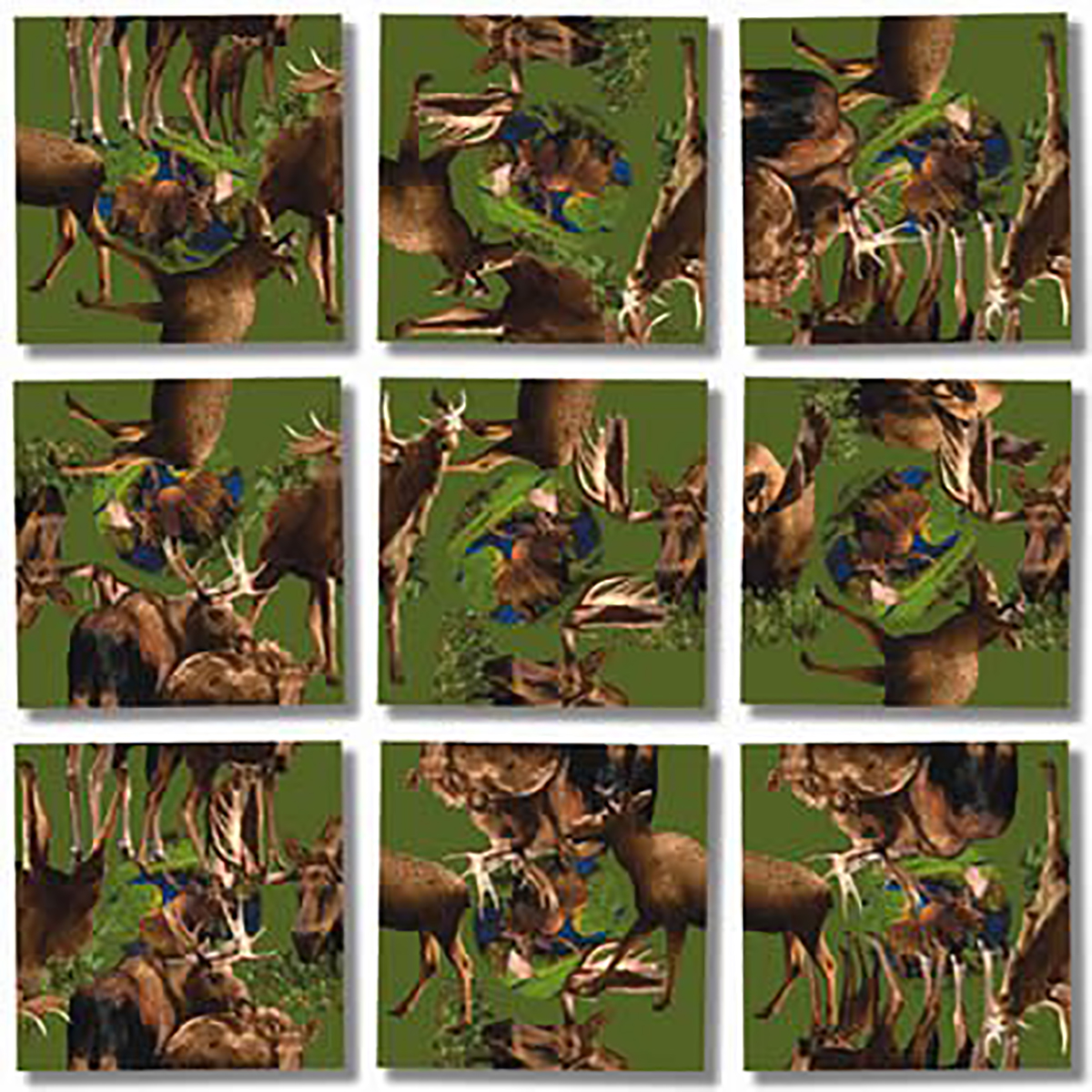 Responsive image
