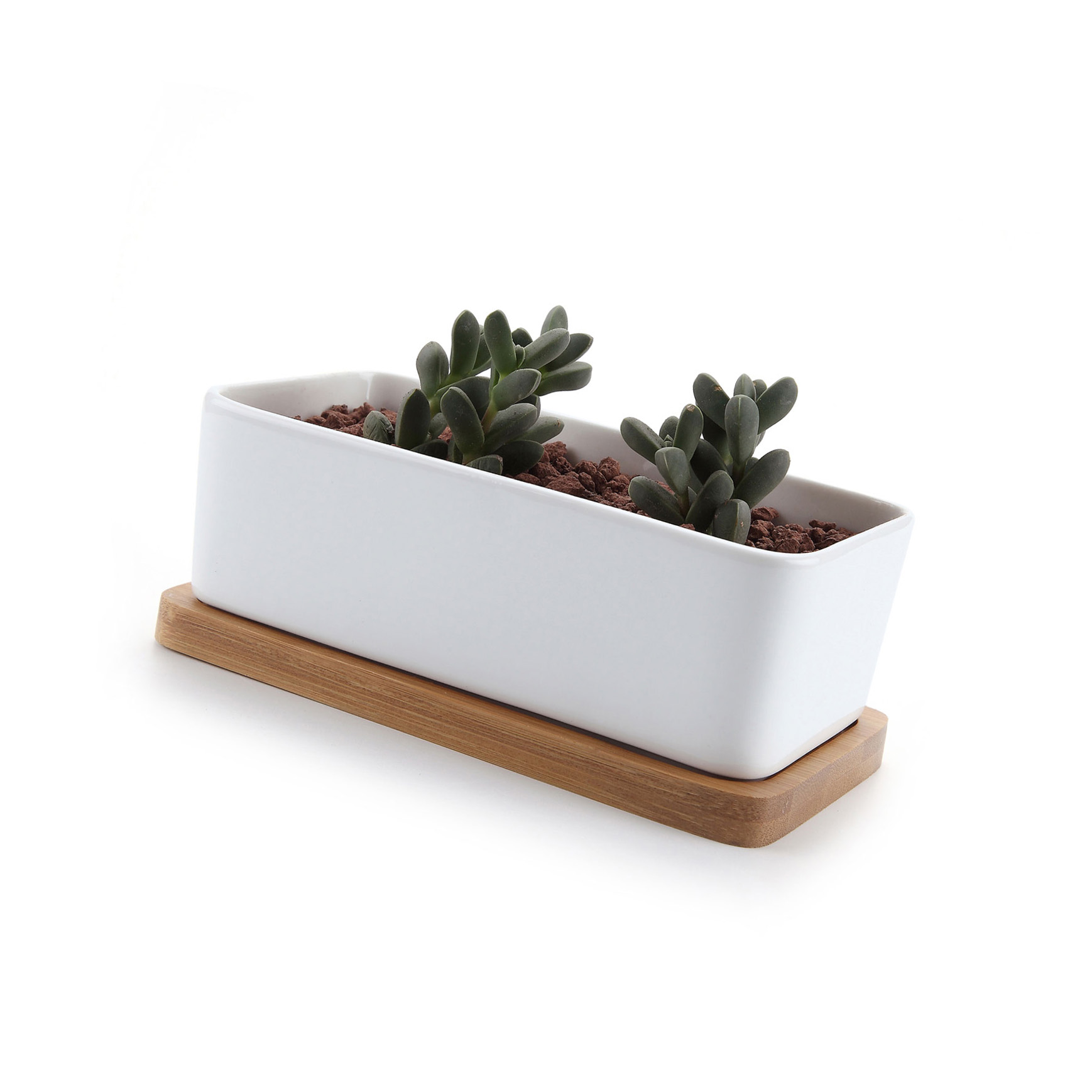 T4U 6.5" Ceramic White Rectangle Succulent Plant Pot/Cactus Flower Pot