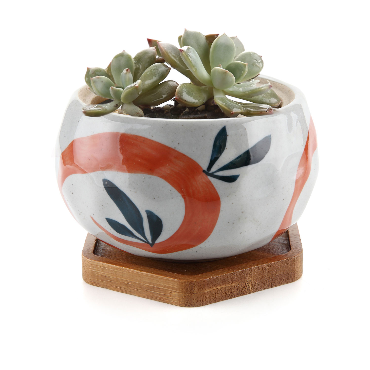 Ceramic Succulent Plant Pot Japanese Style 4.25" Bowl Ceramic Succulent Plant Pot Japanese Style 4.25" Bowl