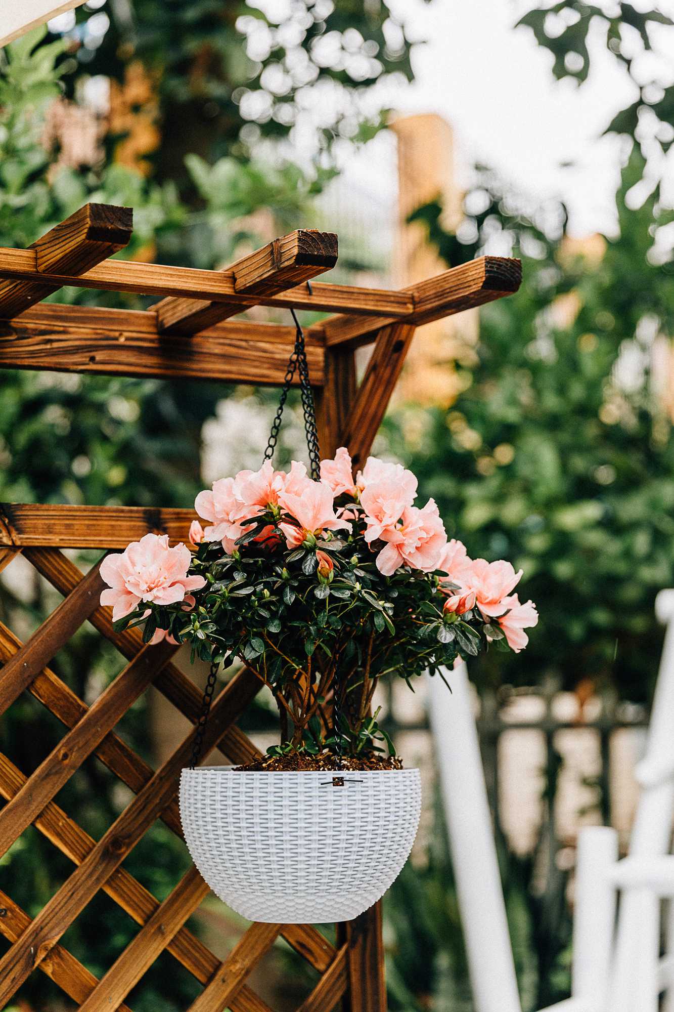 Set 4 Plastic Hanging Planter White Self Watering Basket Flower Plant