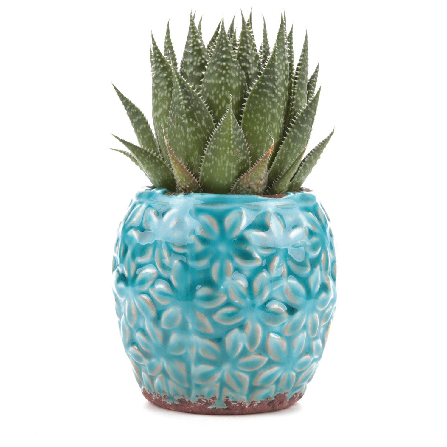 T4U Ceramic Succulent Plant Pots Mini Flower Pot/Planter Bonsai Pots 3