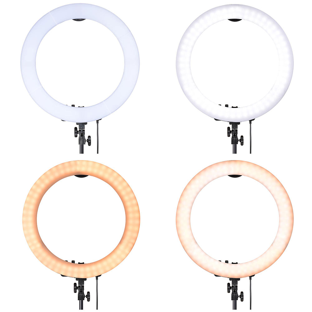 19" Dimmable Diva LED Ring Light Kit Diffuser w/ Stand Photo Video