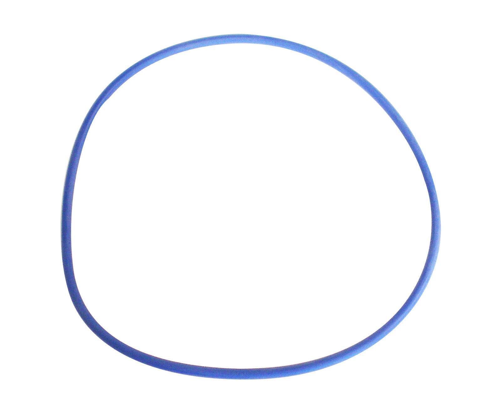 Hayward CX400G Filter Tank & Pump Lid O-Ring – 8 Inch Replacement Seal For Pool Filters