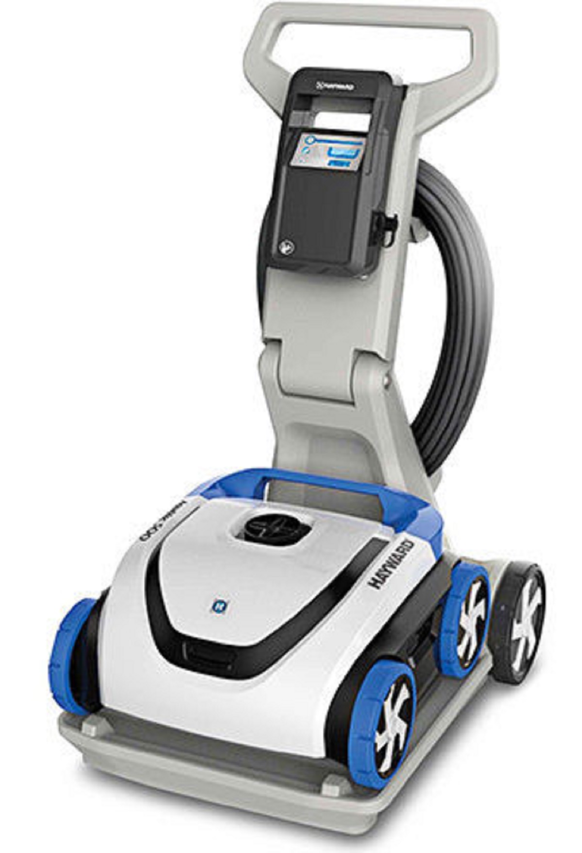 carpet cleaner solution for dog urine