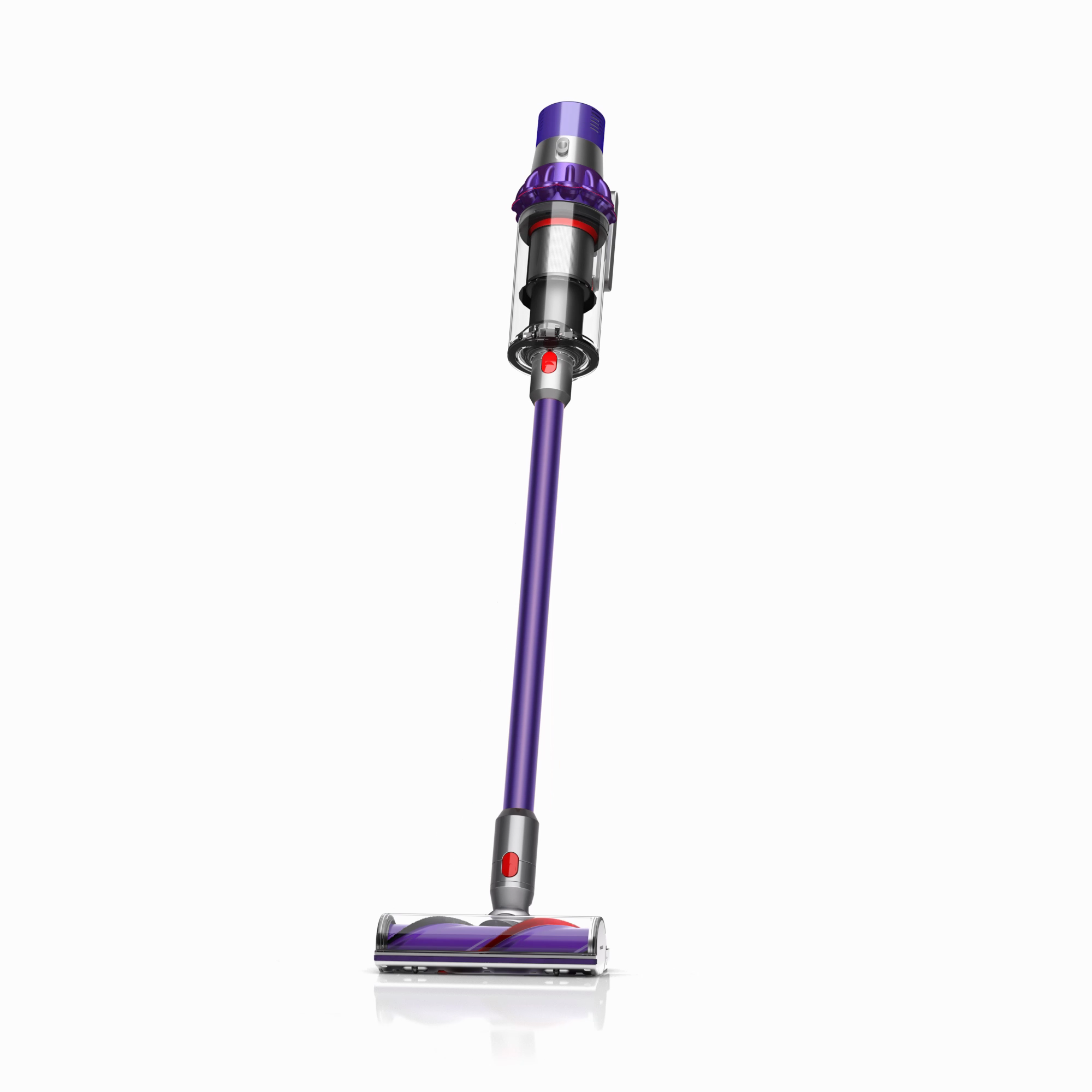ebay dyson v10 animal